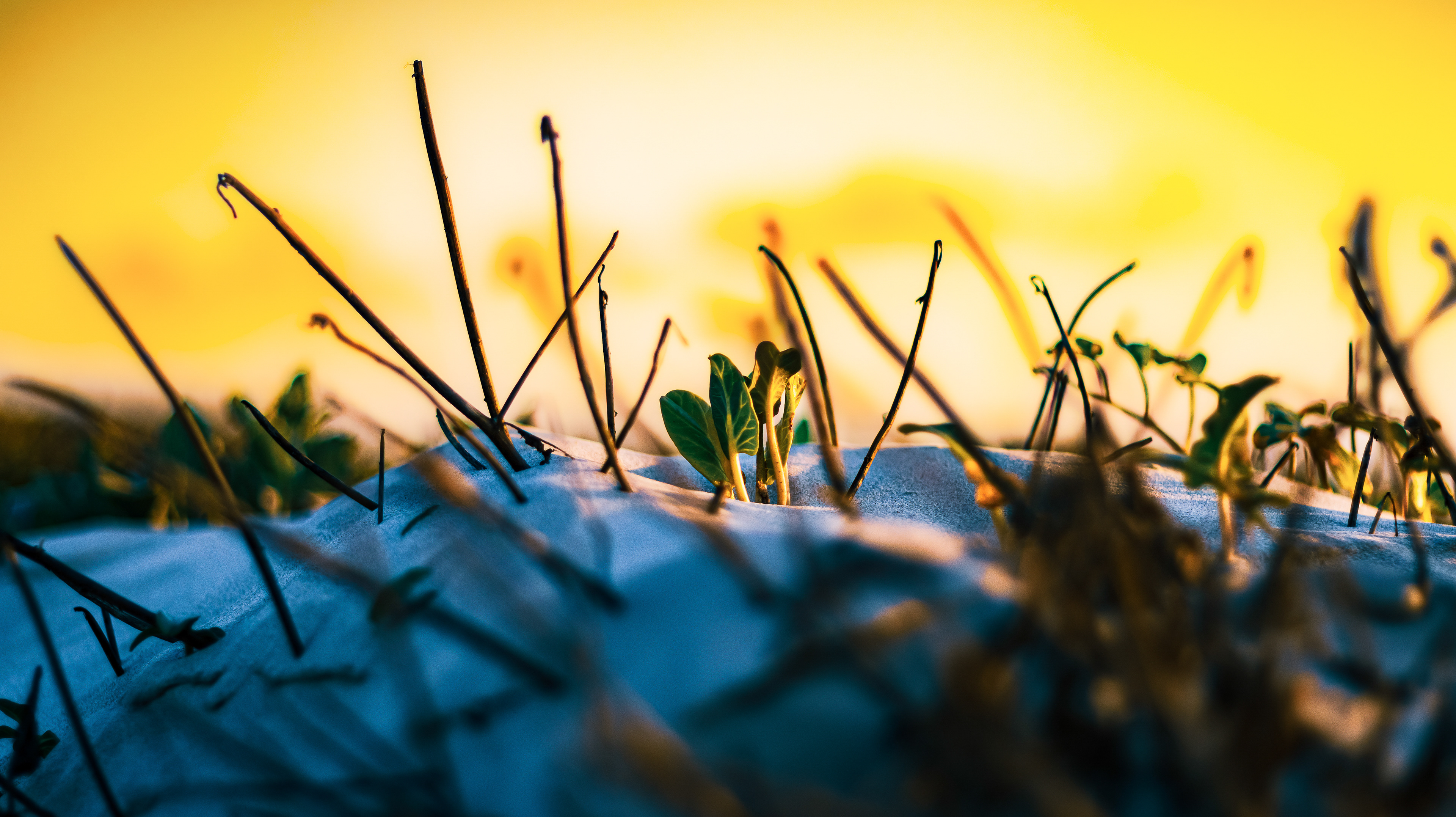 Location Photography