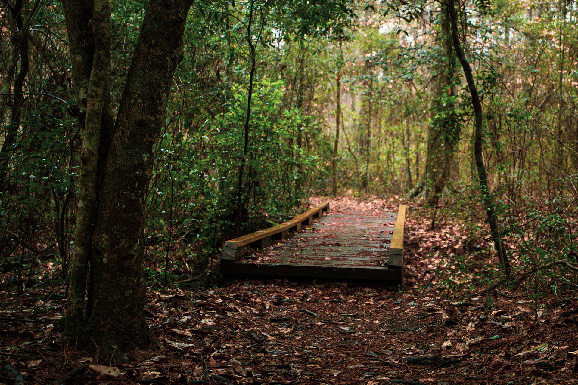 Location Photography