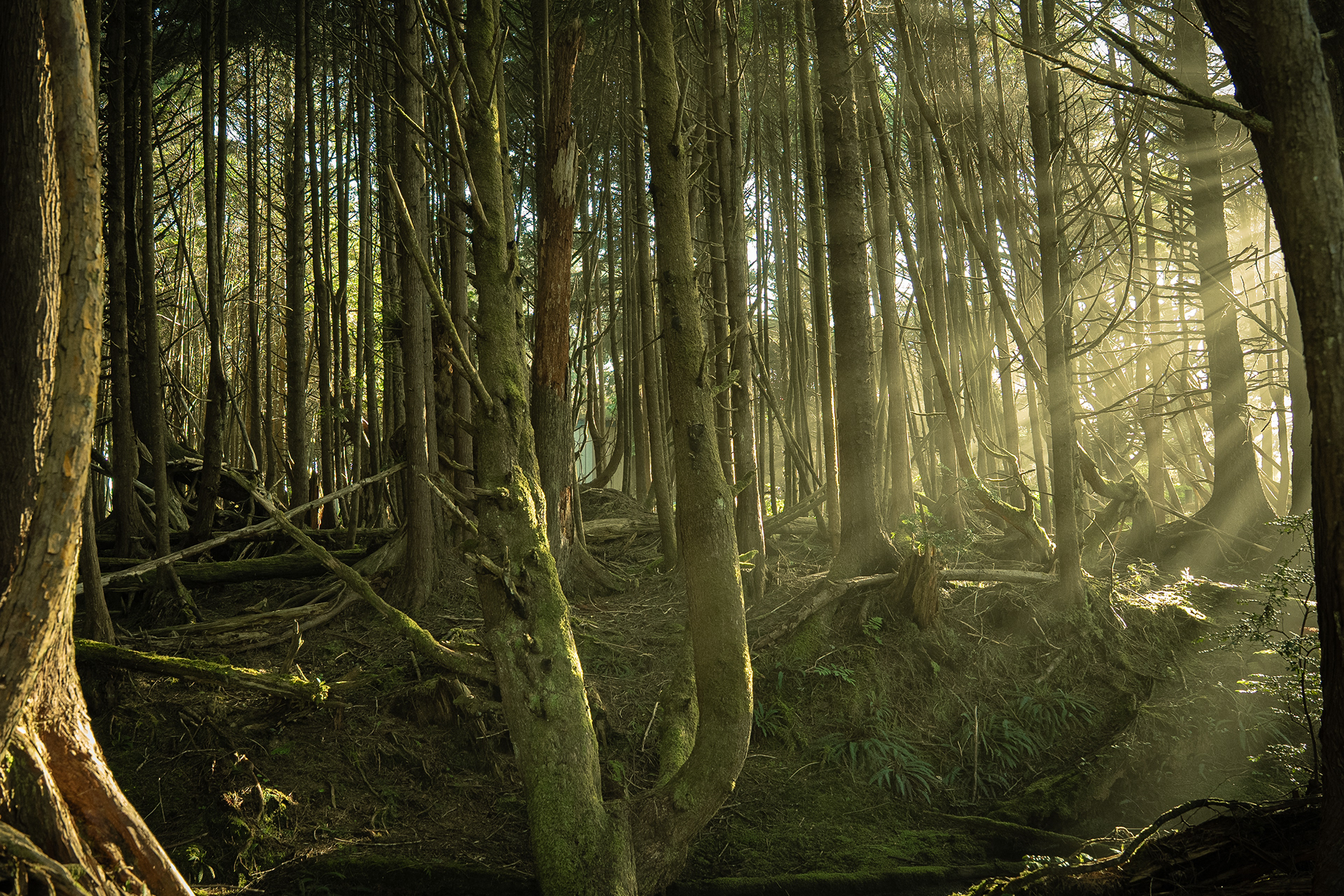 Location Photography