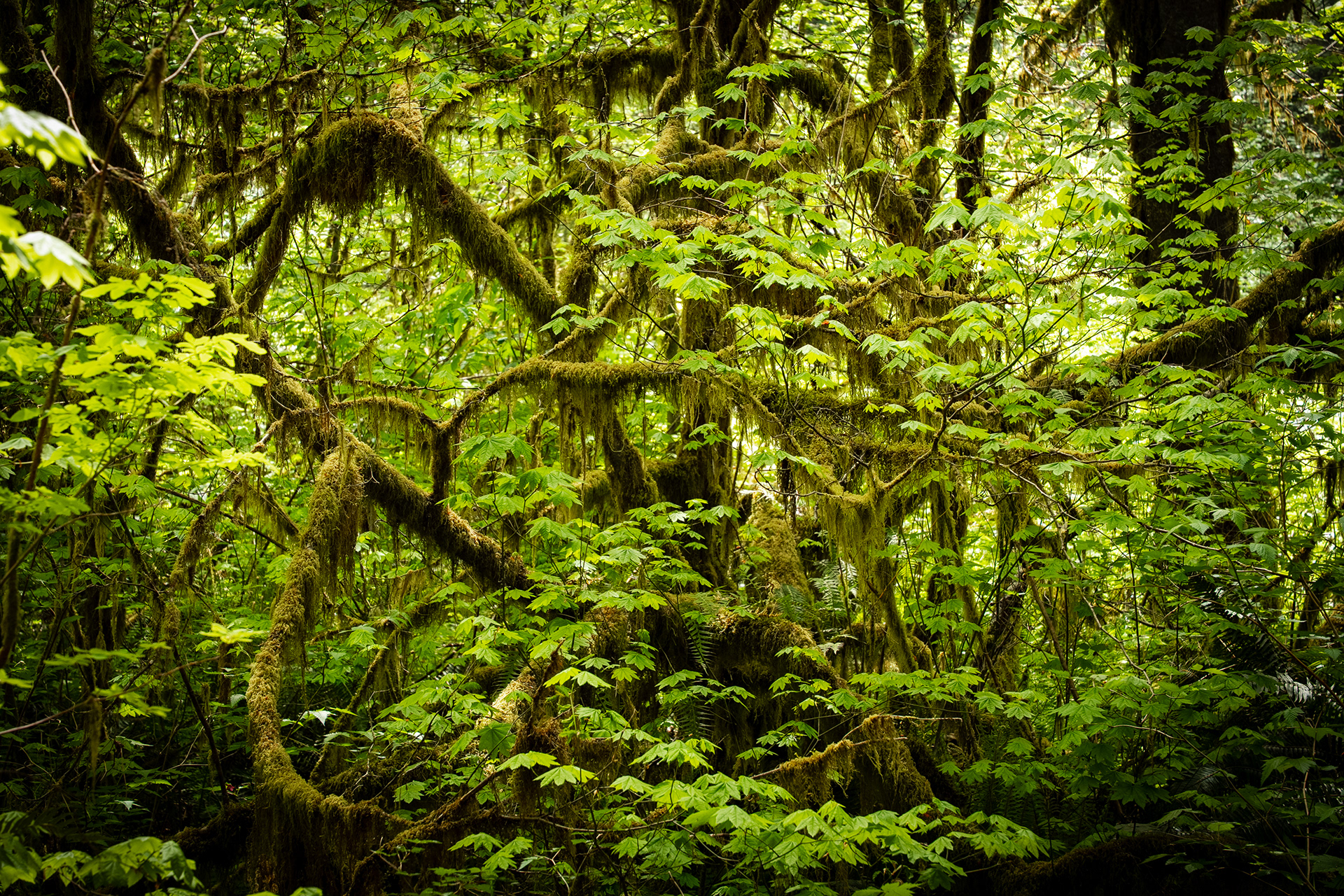 Location Photography