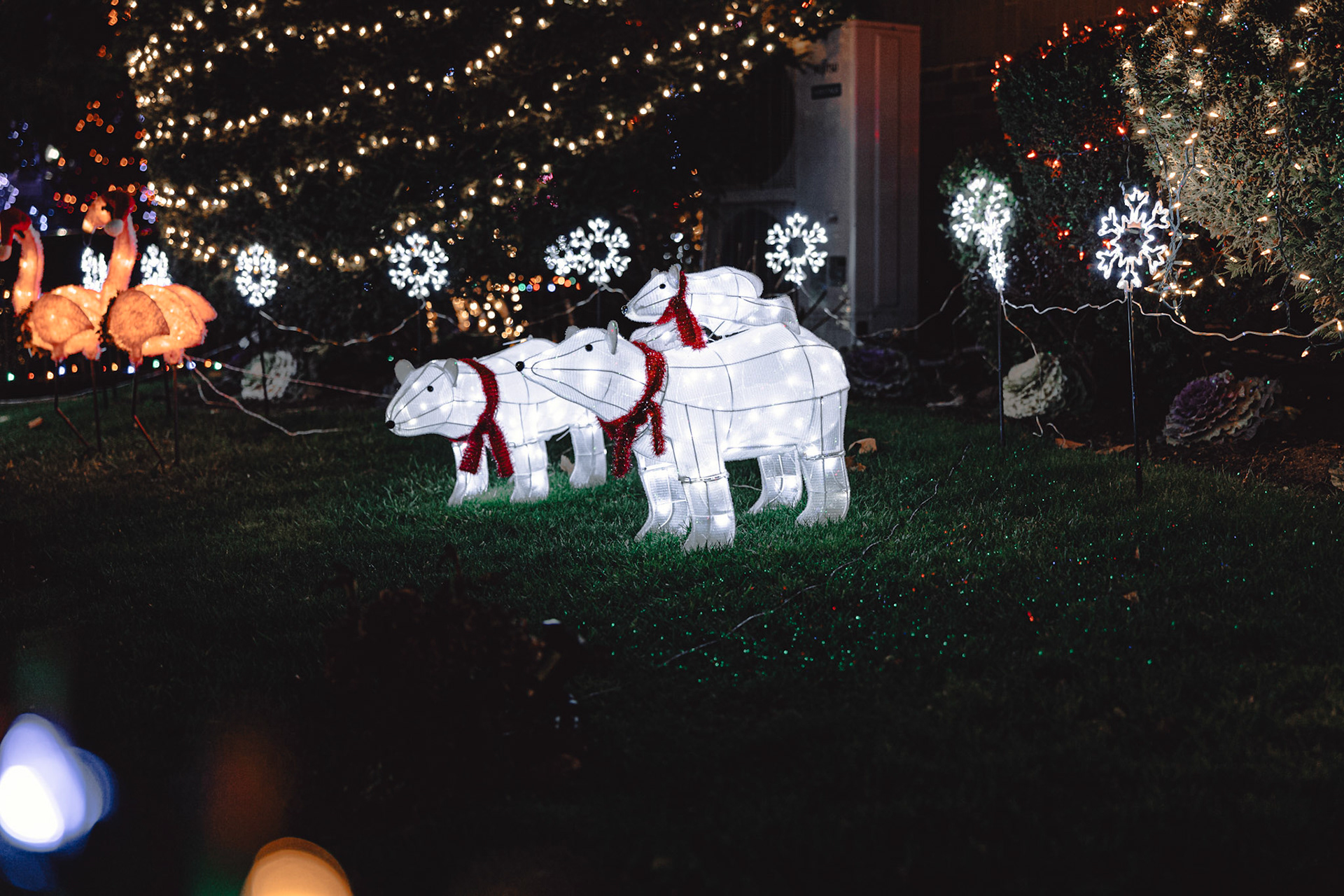 Dyker Heights