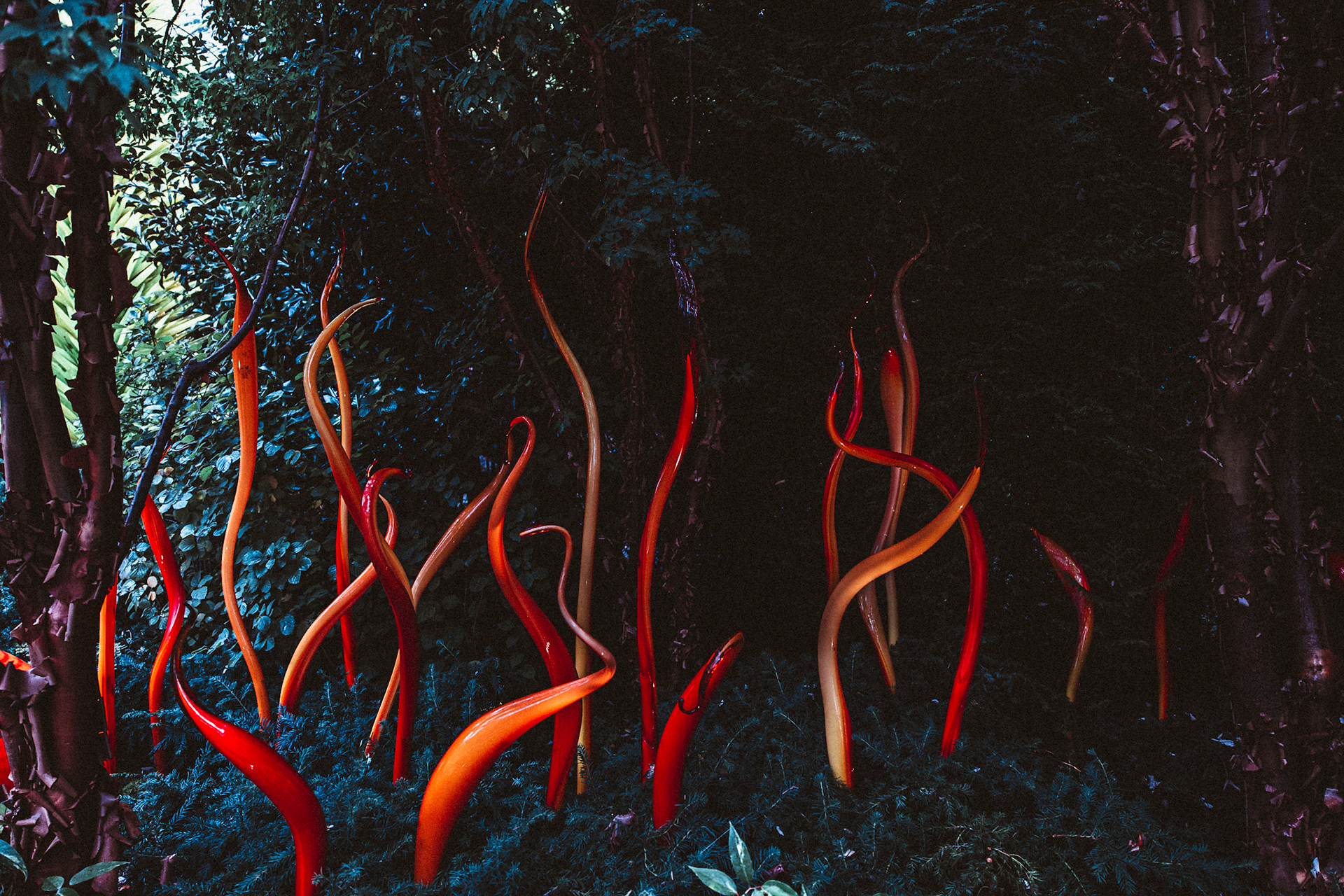 Chihuly Gardens and Glass Museum