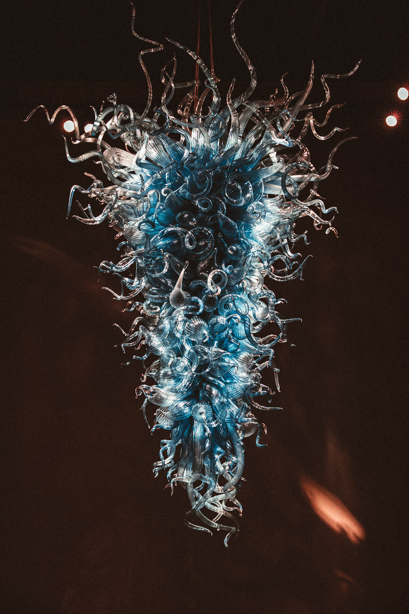 Chihuly Gardens and Glass Museum