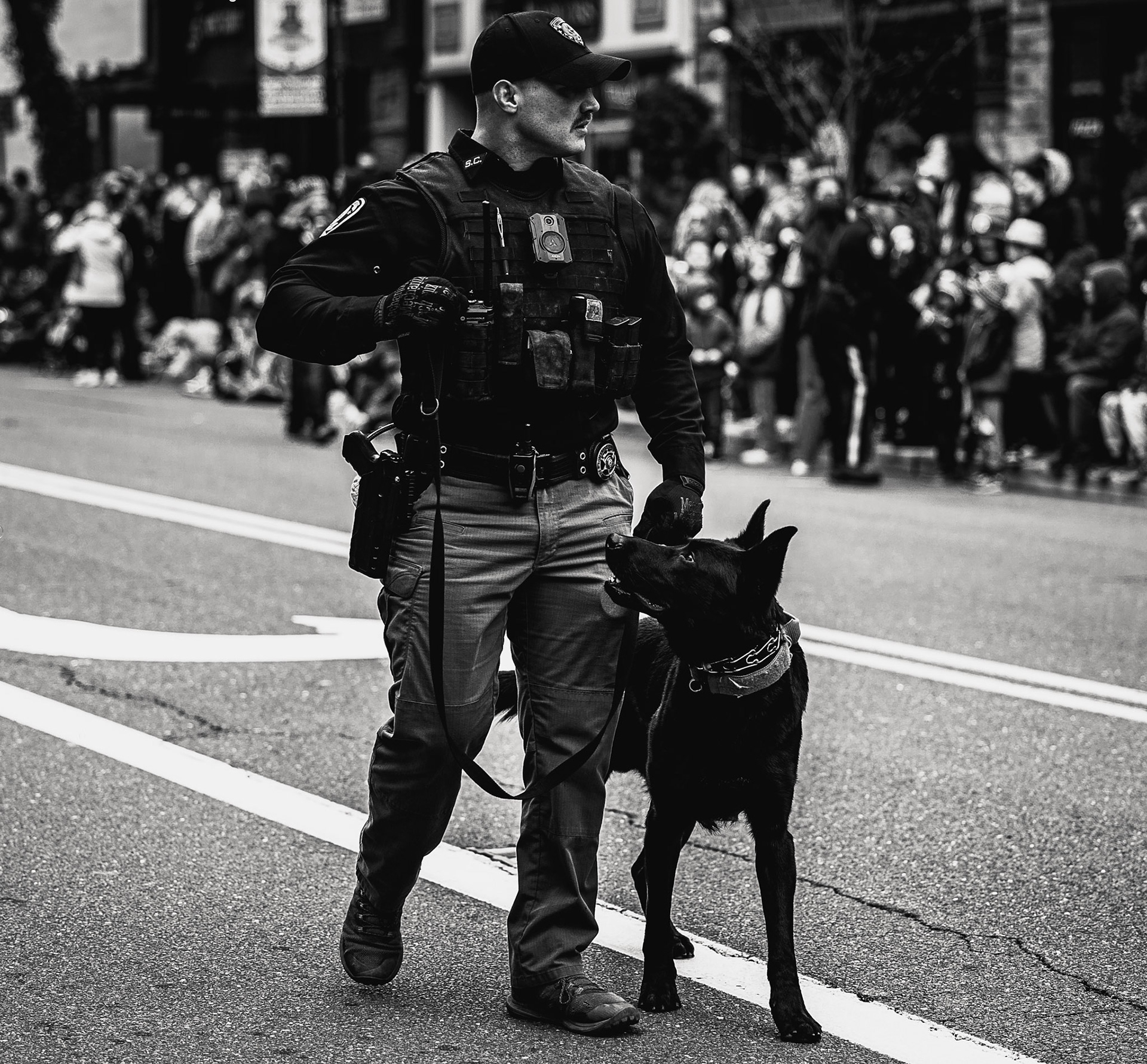 Event: Somerville St. Patrick's Day Parade