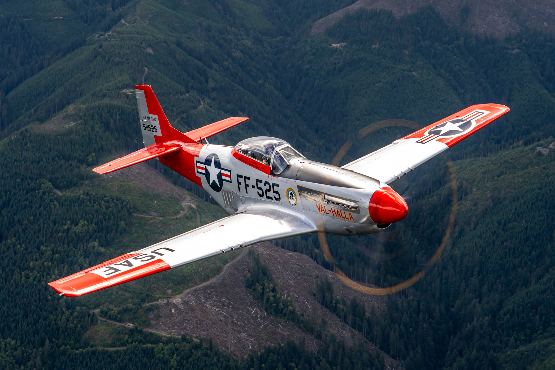 2023 PHOTO OF THE YEAR FINALIST - Flying with the P-51 Mustang from the Heritage Flight Museum, piloted by Lt. Col. Greg Anders 