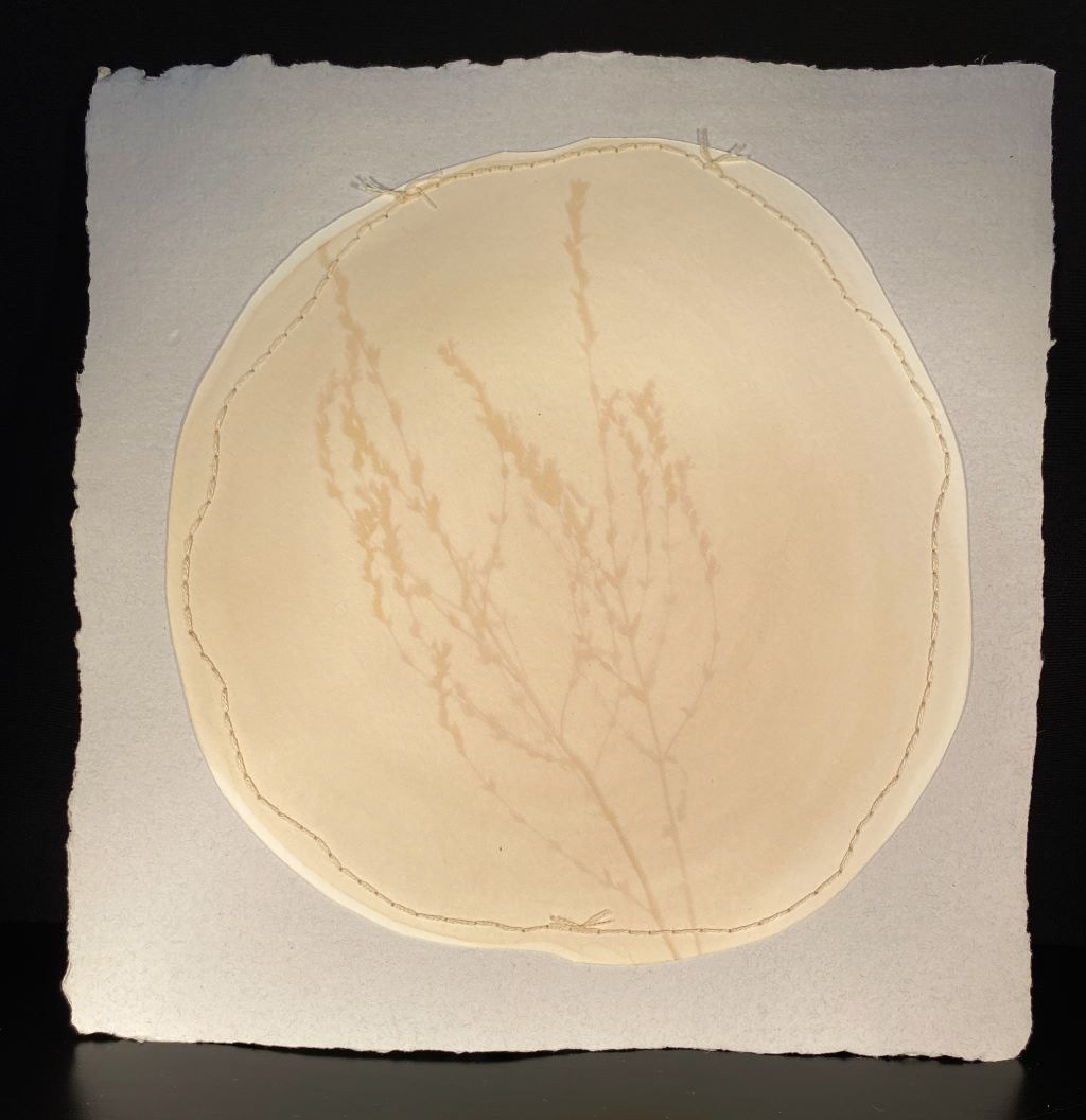 2r (anthotype)