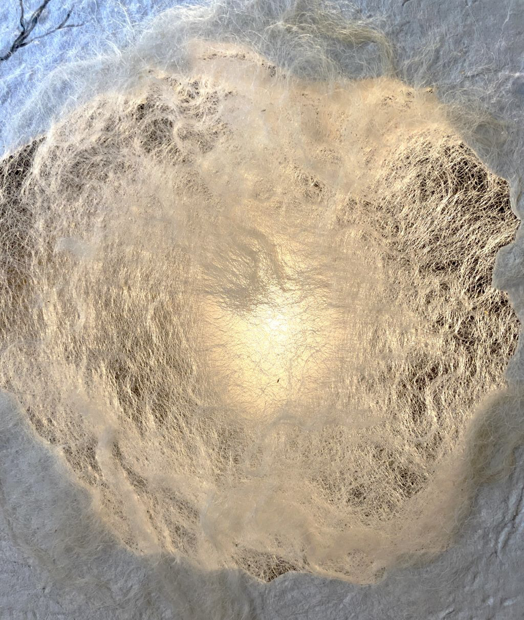 2l