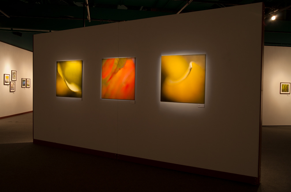 Centre d'exposition de Repentigny (2008)