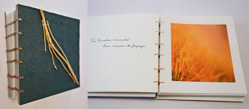 3 Collection de couleurs (2008)