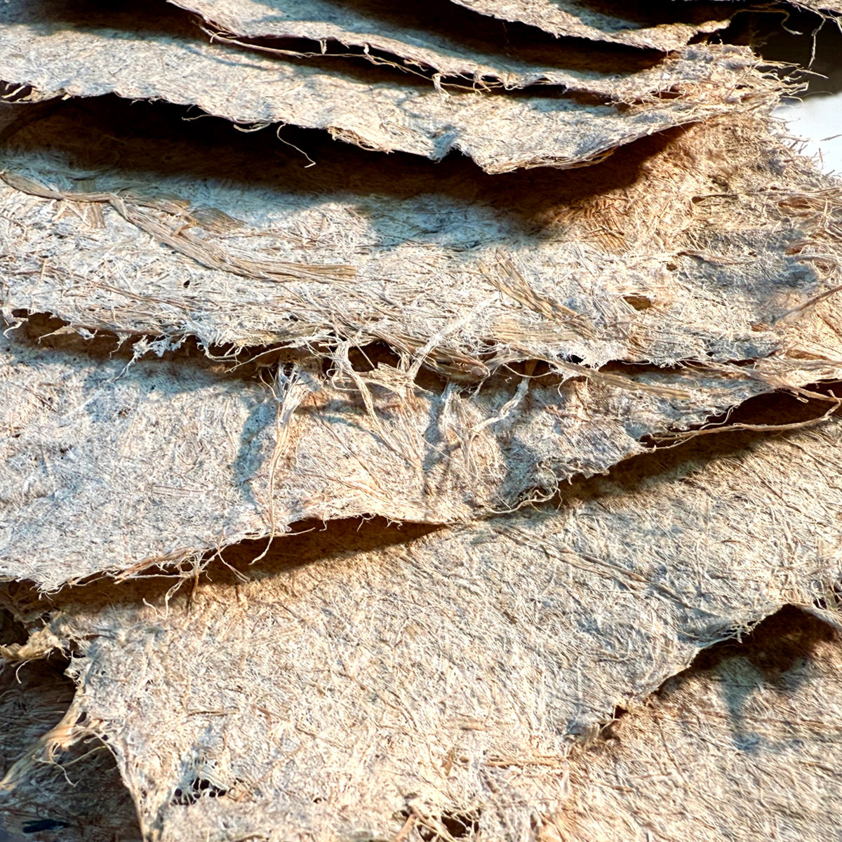 Papier végétal