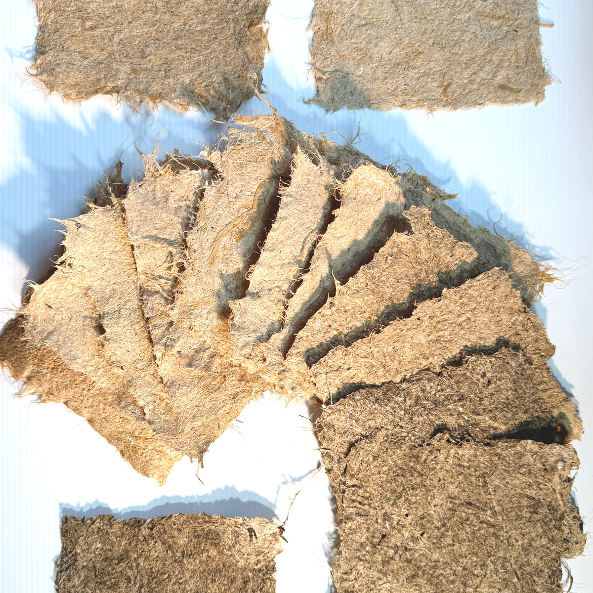 Papier d'iris, de paille de blé, etc.