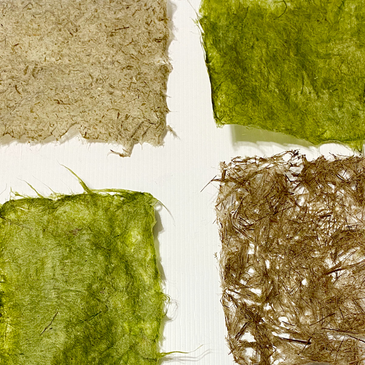 Papier d'ortie, gazon et quenouille