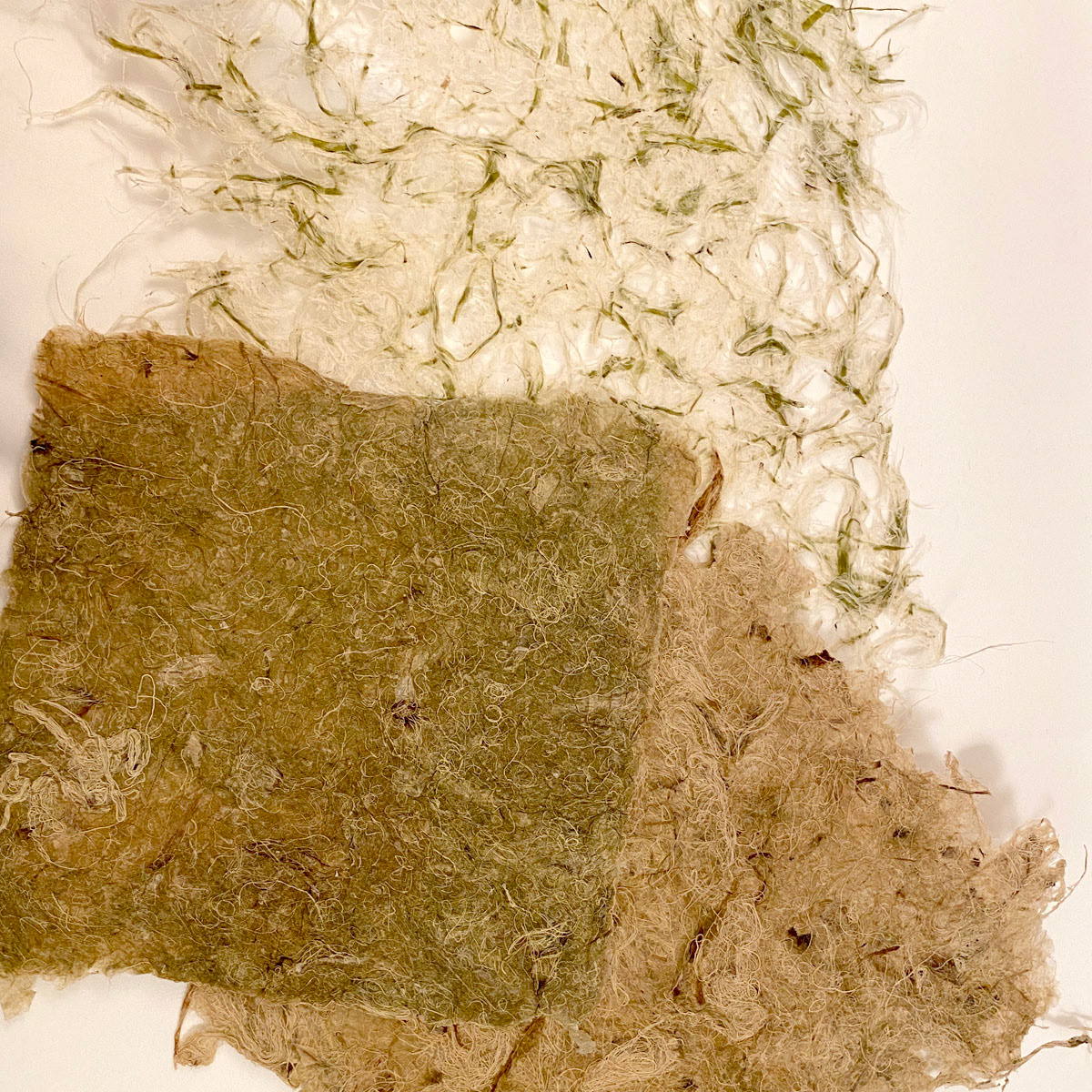 Papier asclépiade et rhubarbe