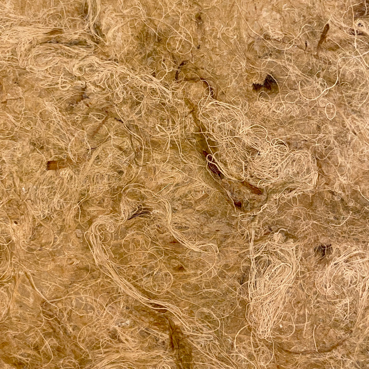 Papier de rhubarbe