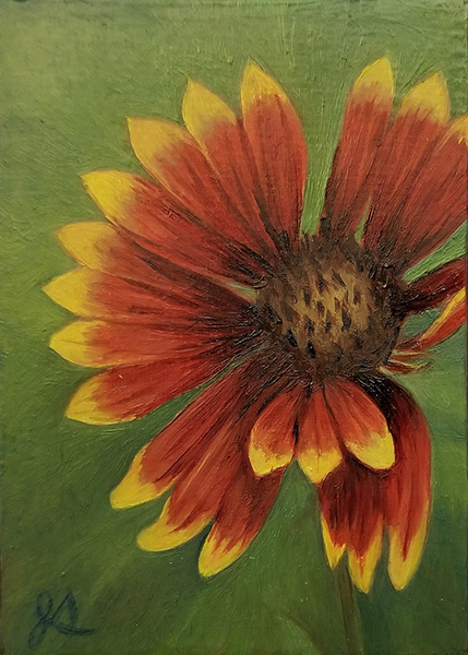 Flower