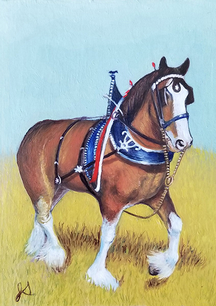Clydesdale