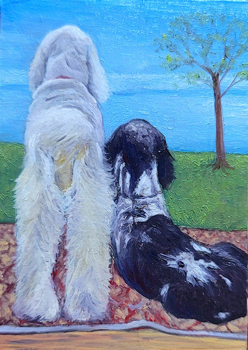 Companions