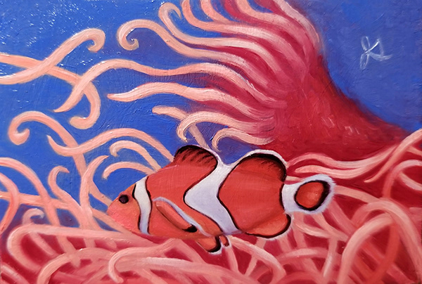 Clown Fish