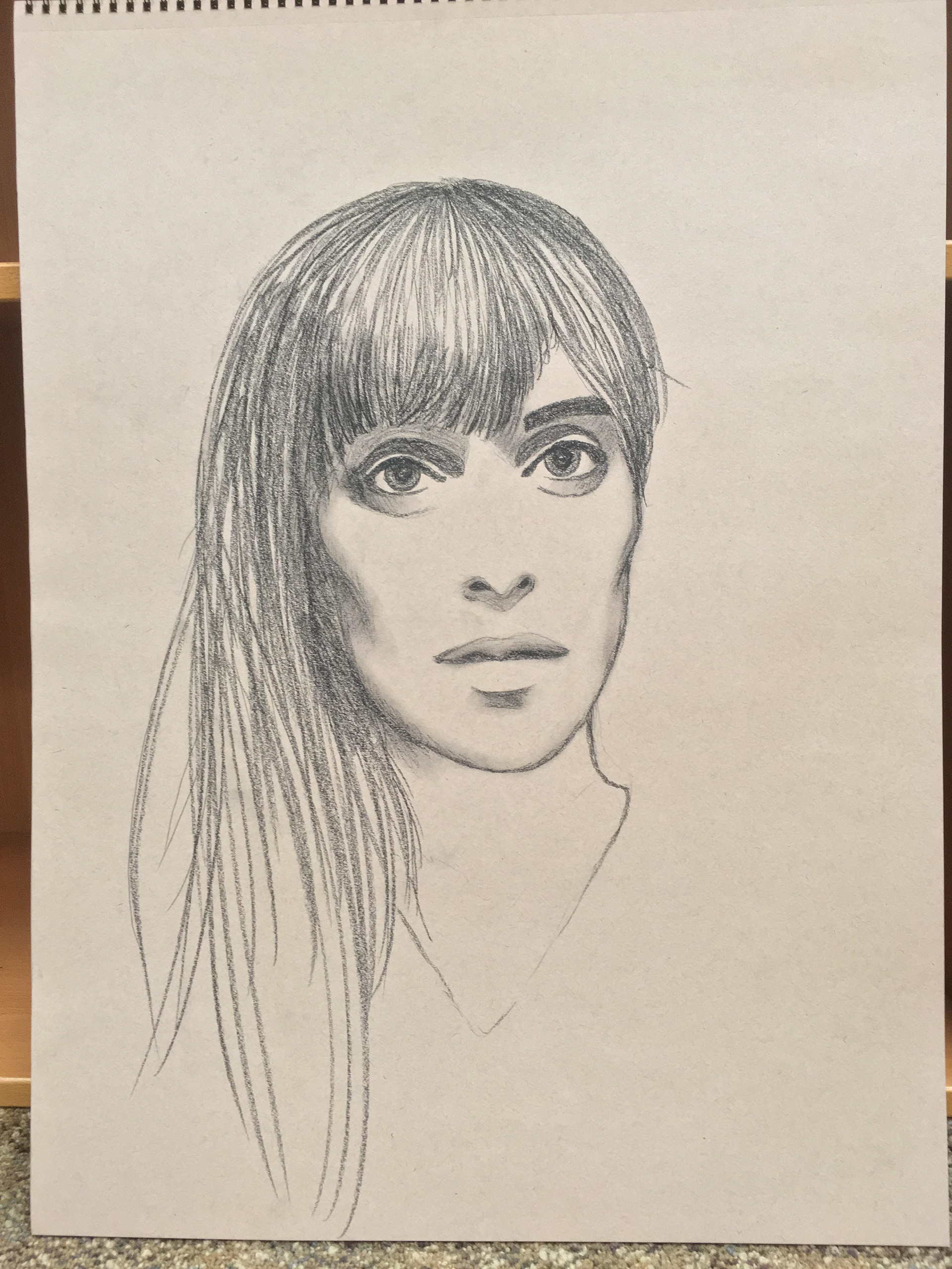 Drawing of Leslie Feist
