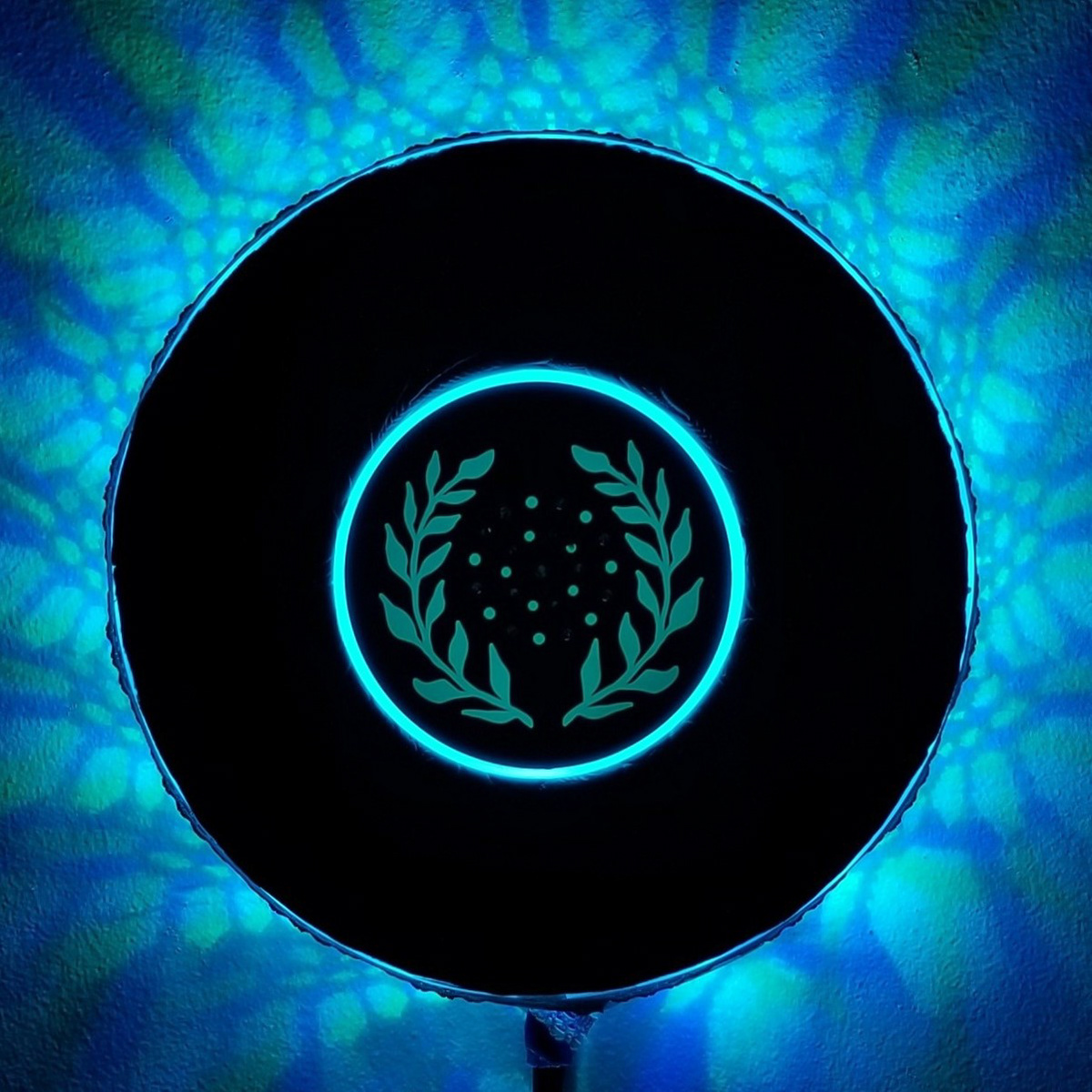 LED accent light utilizing circular 'decorative' wall reflection as well as frontal lighting effects.