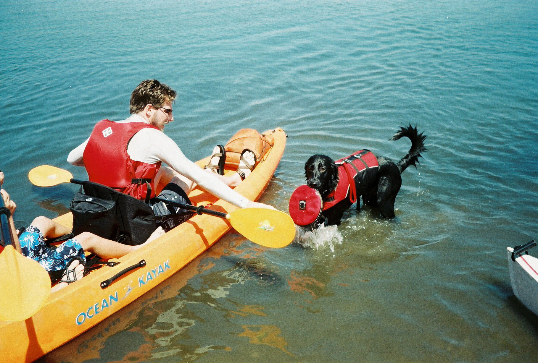 IMG002
