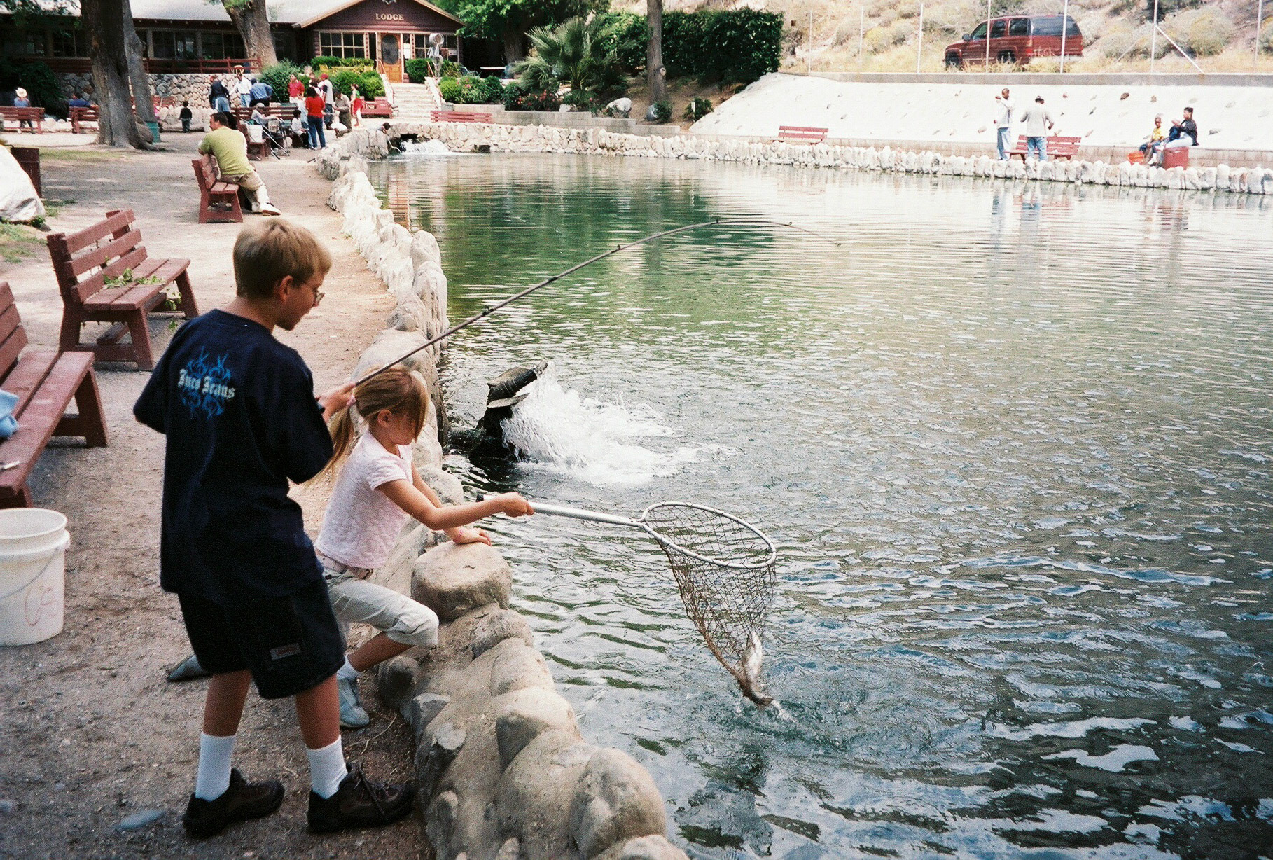 IMG019