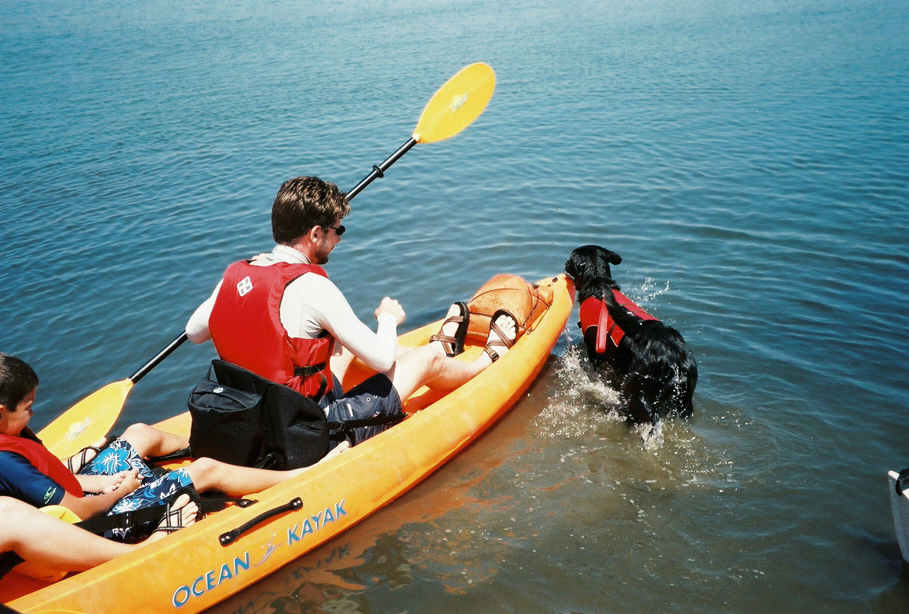 IMG003
