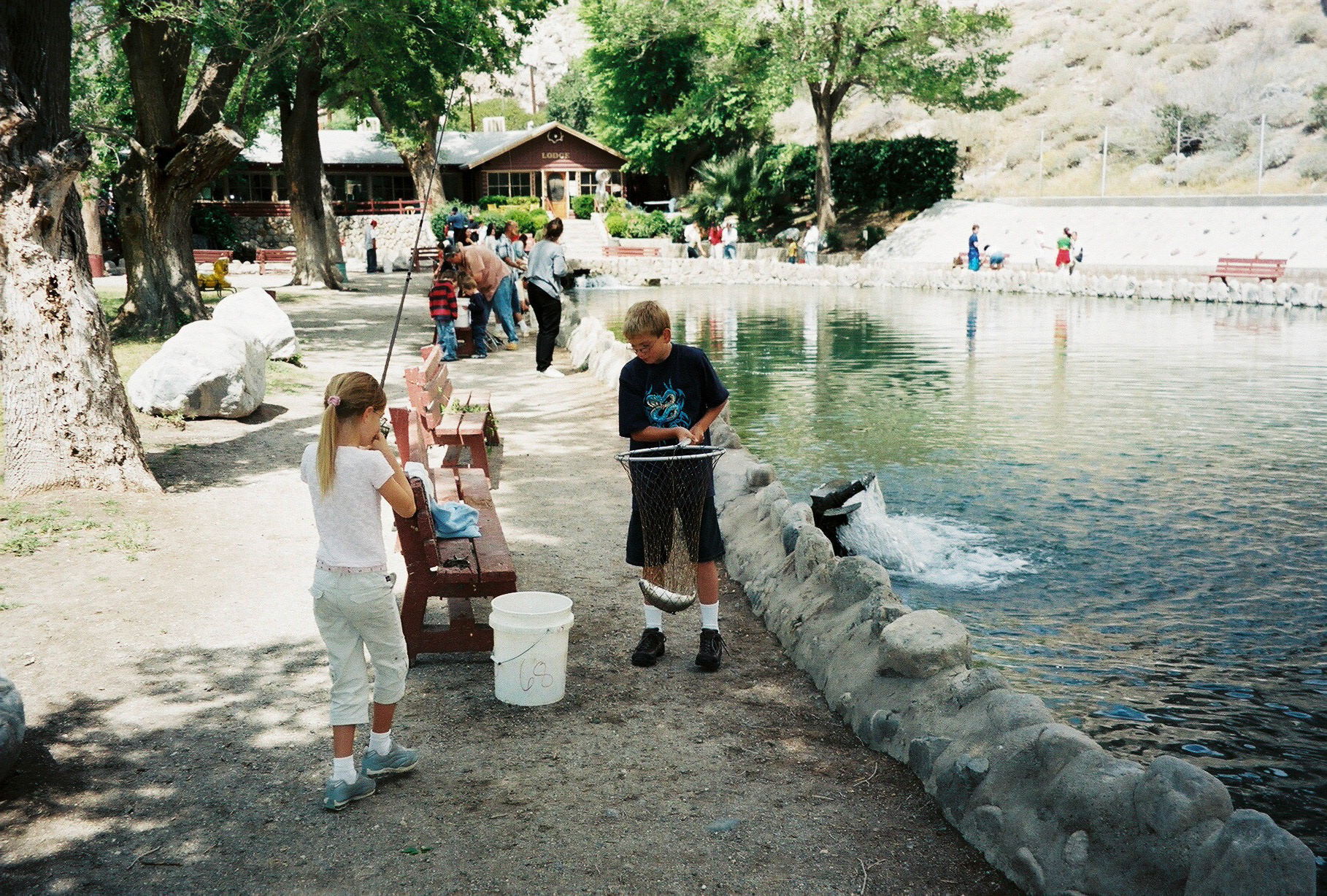 IMG010