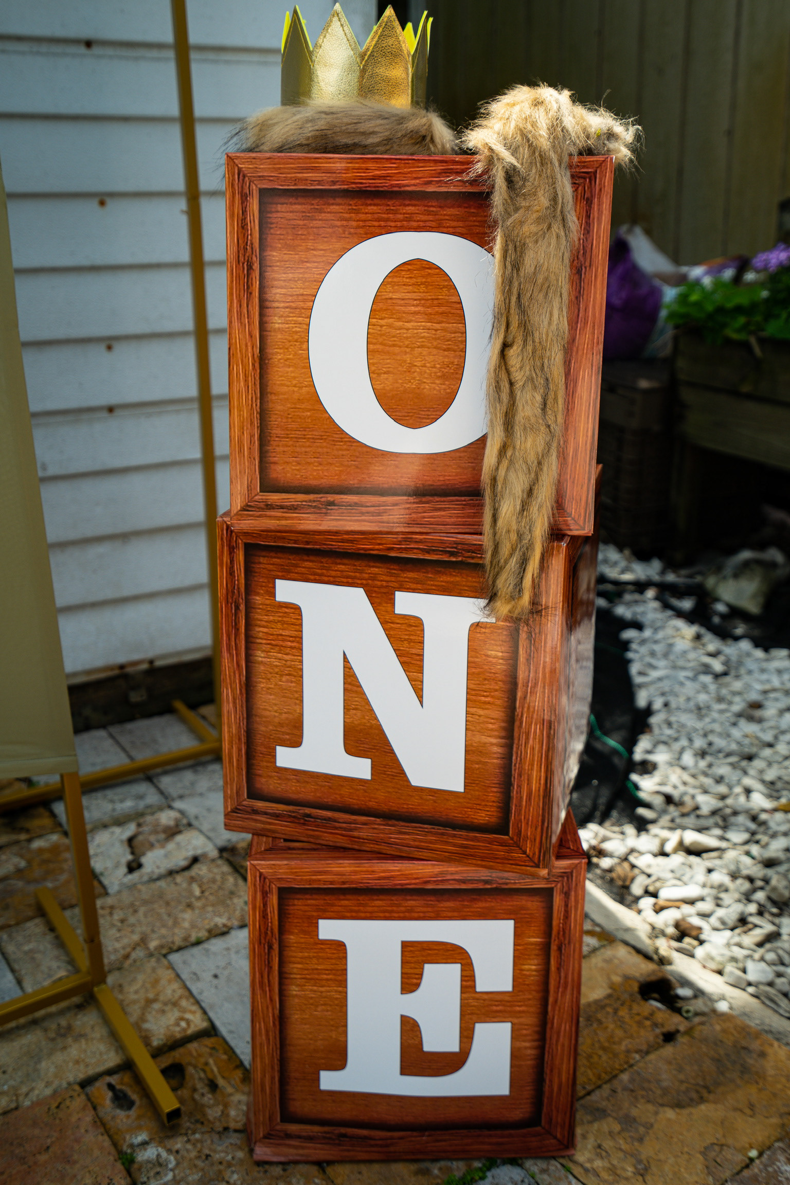 Celso's Wild One 1st Birthday | 2024