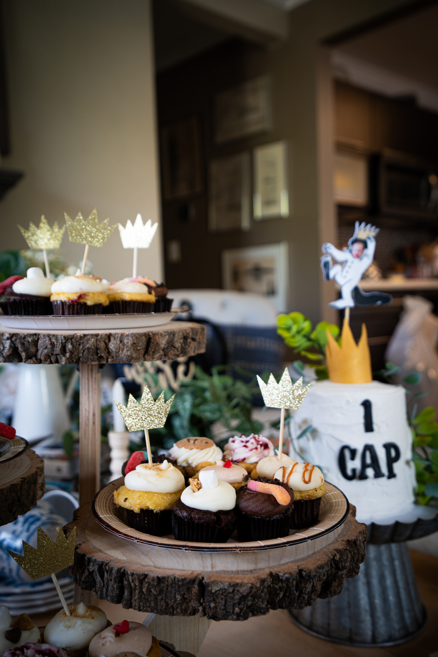 Celso's Wild One 1st Birthday | 2024