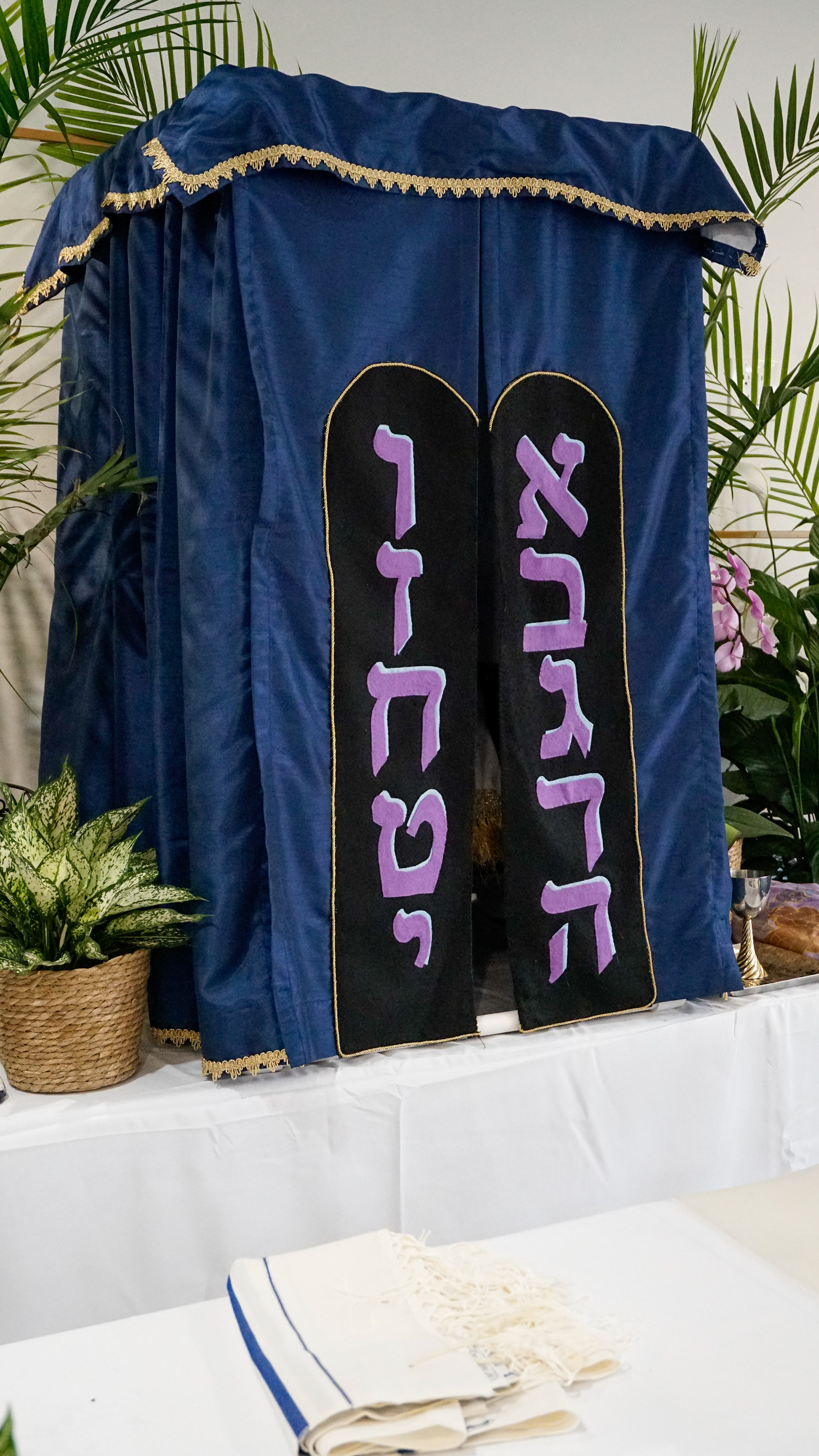 Lani's Bat Mitzvah | 2024