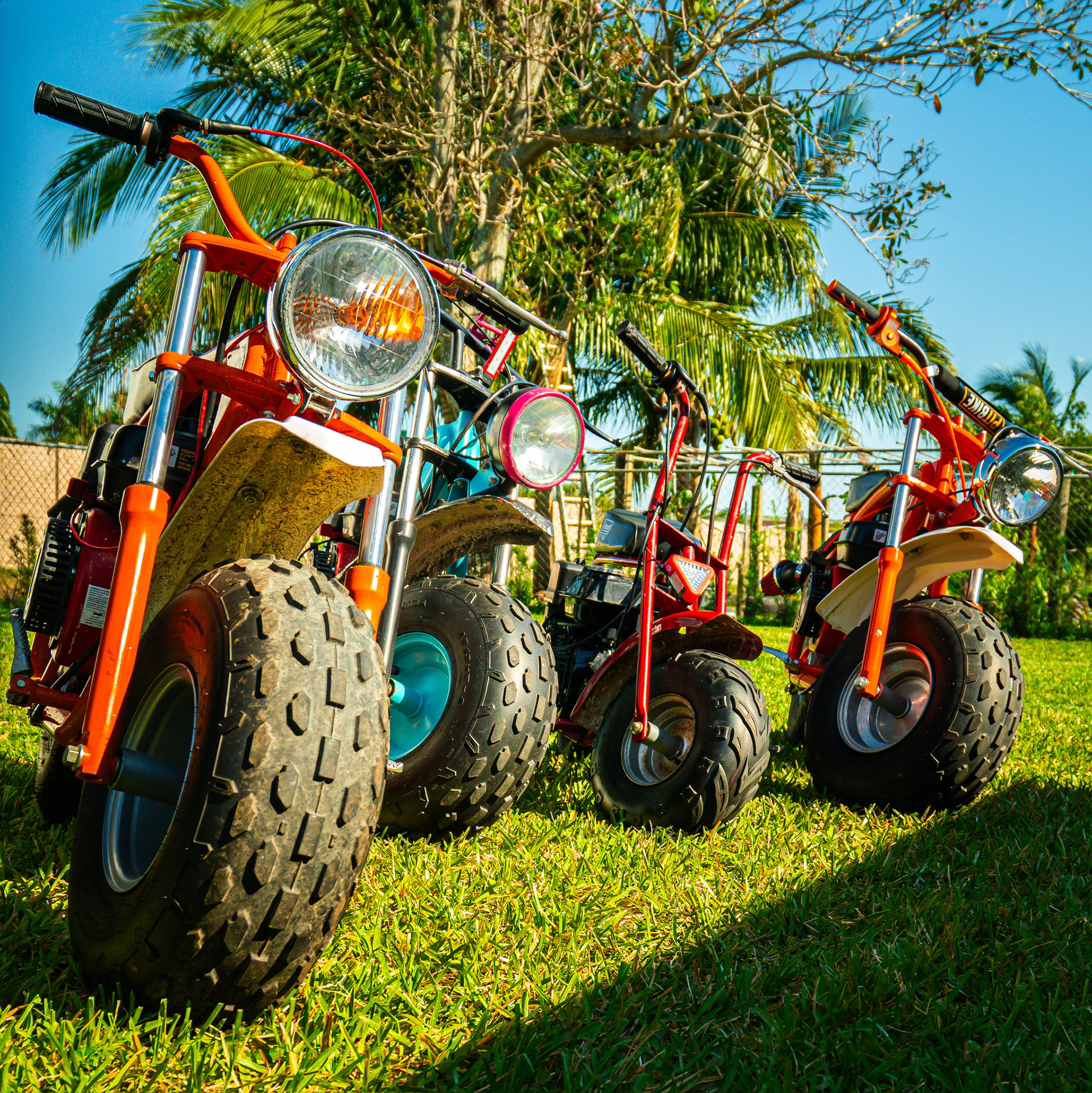 James' Bad Two The Bone 2nd Birthday | 2024