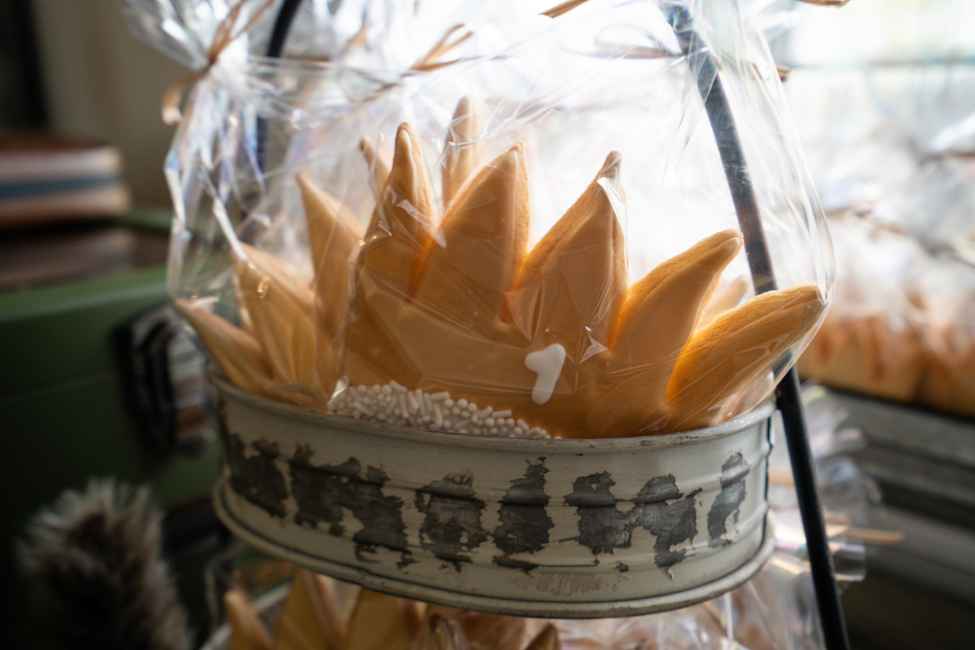 Celso's Wild One 1st Birthday | 2024