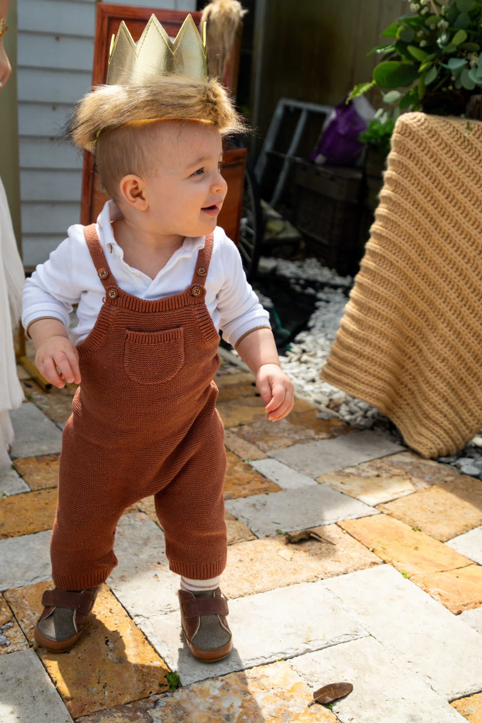 Celso's Wild One 1st Birthday | 2024