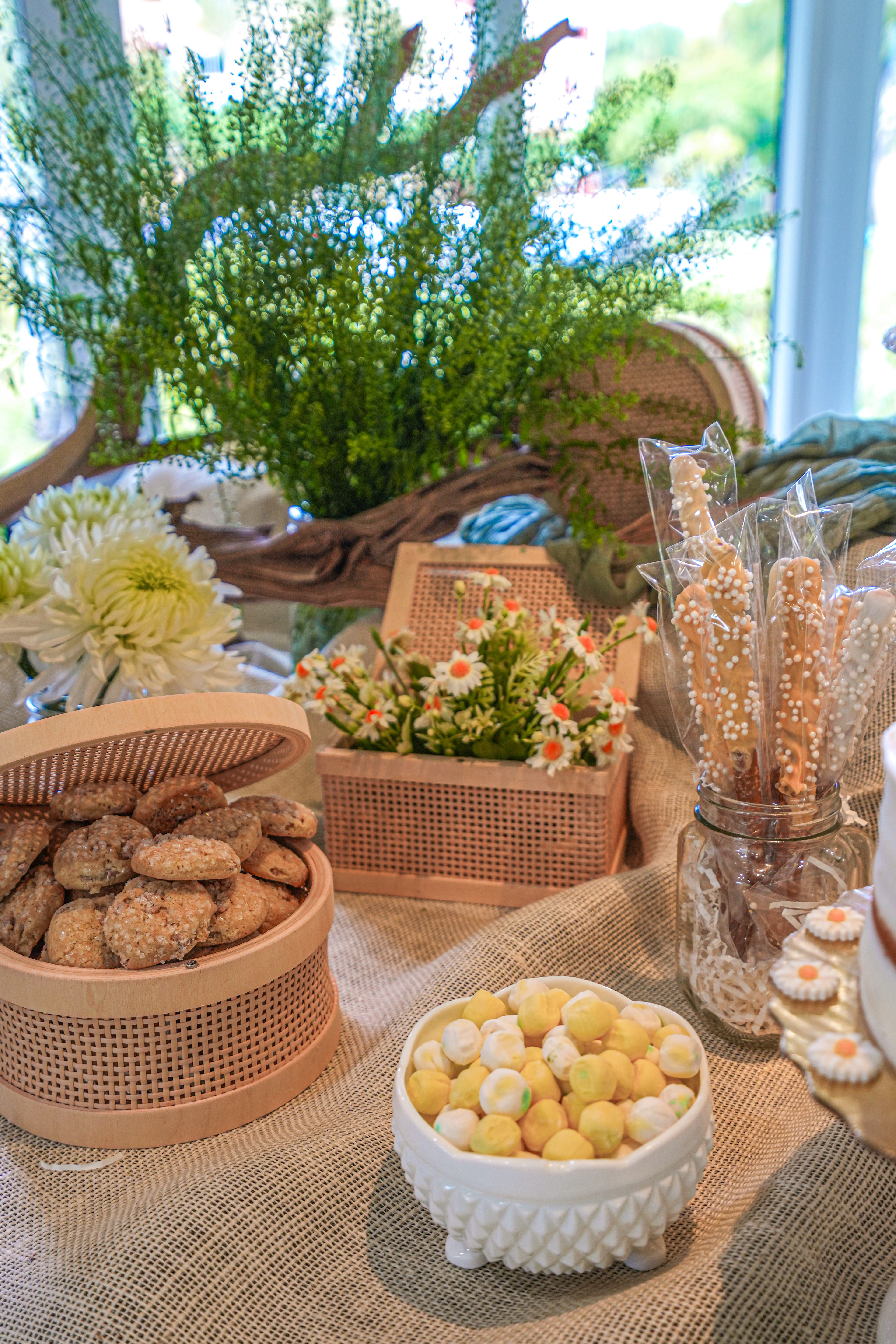 Rodriguez Baby Shower | 2024