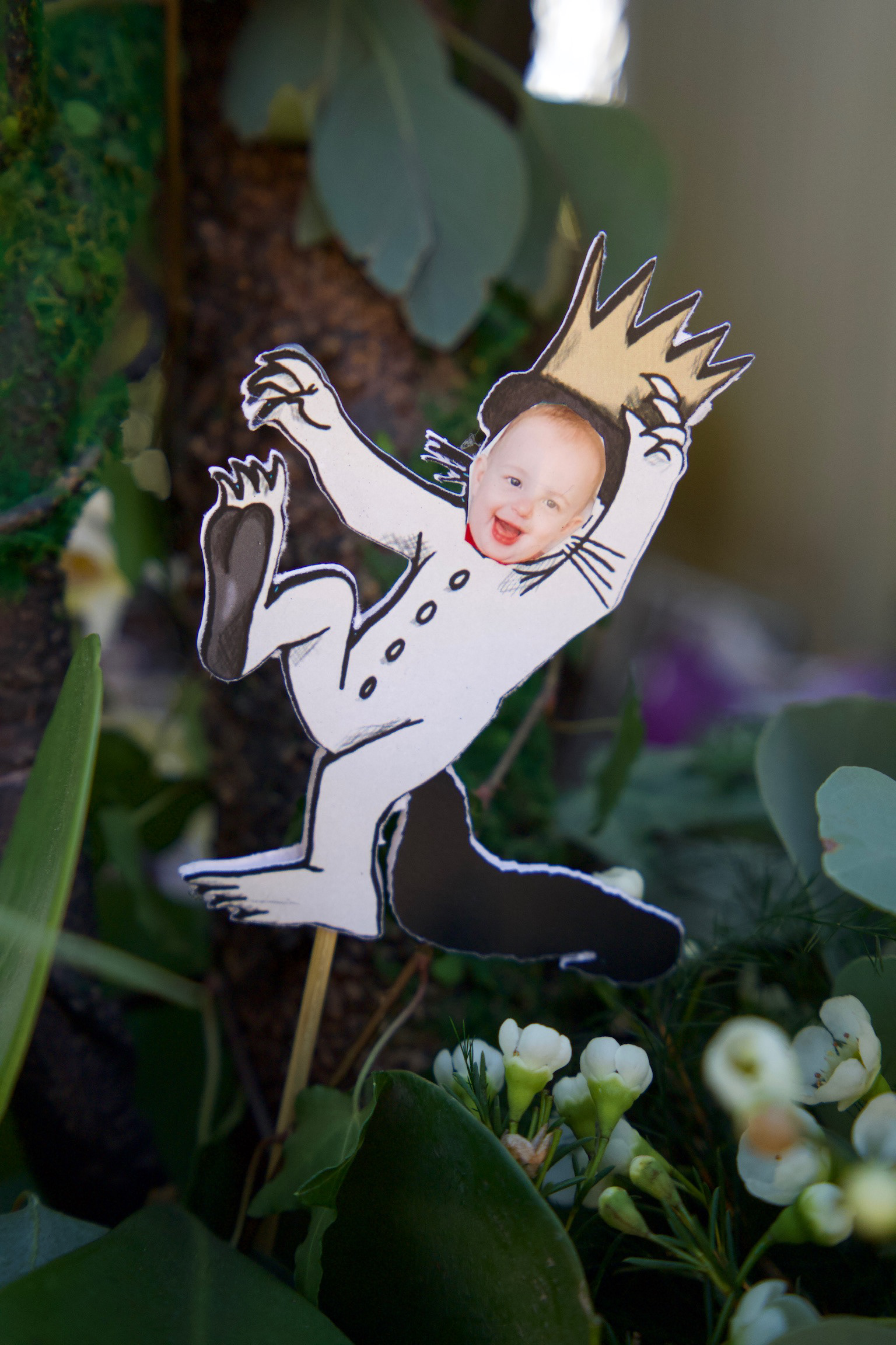 Celso's Wild One 1st Birthday | 2024