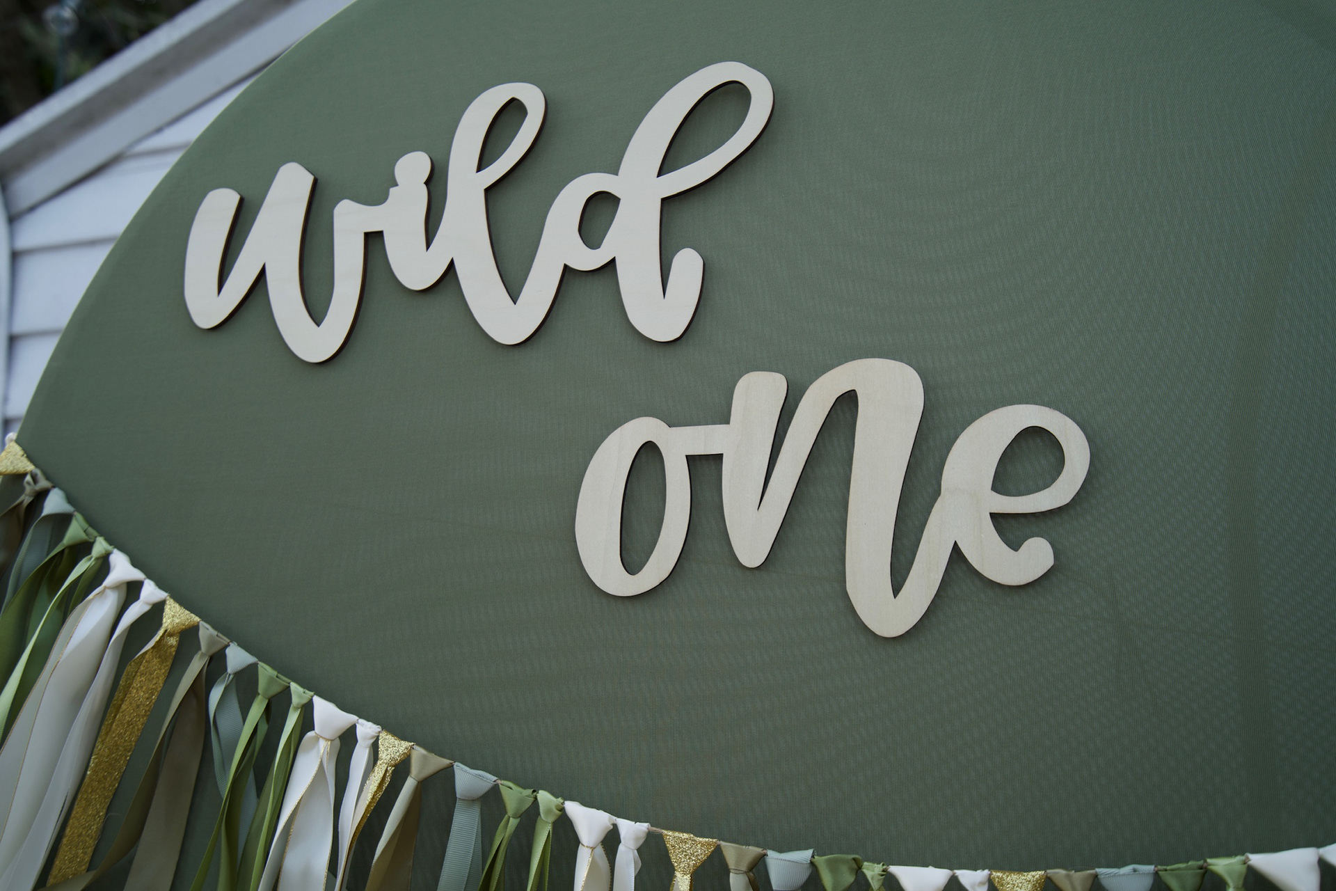 Celso's Wild One 1st Birthday | 2024