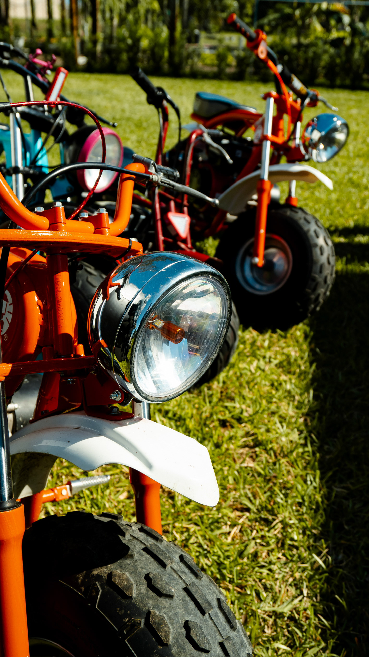 James' Bad Two The Bone 2nd Birthday | 2024