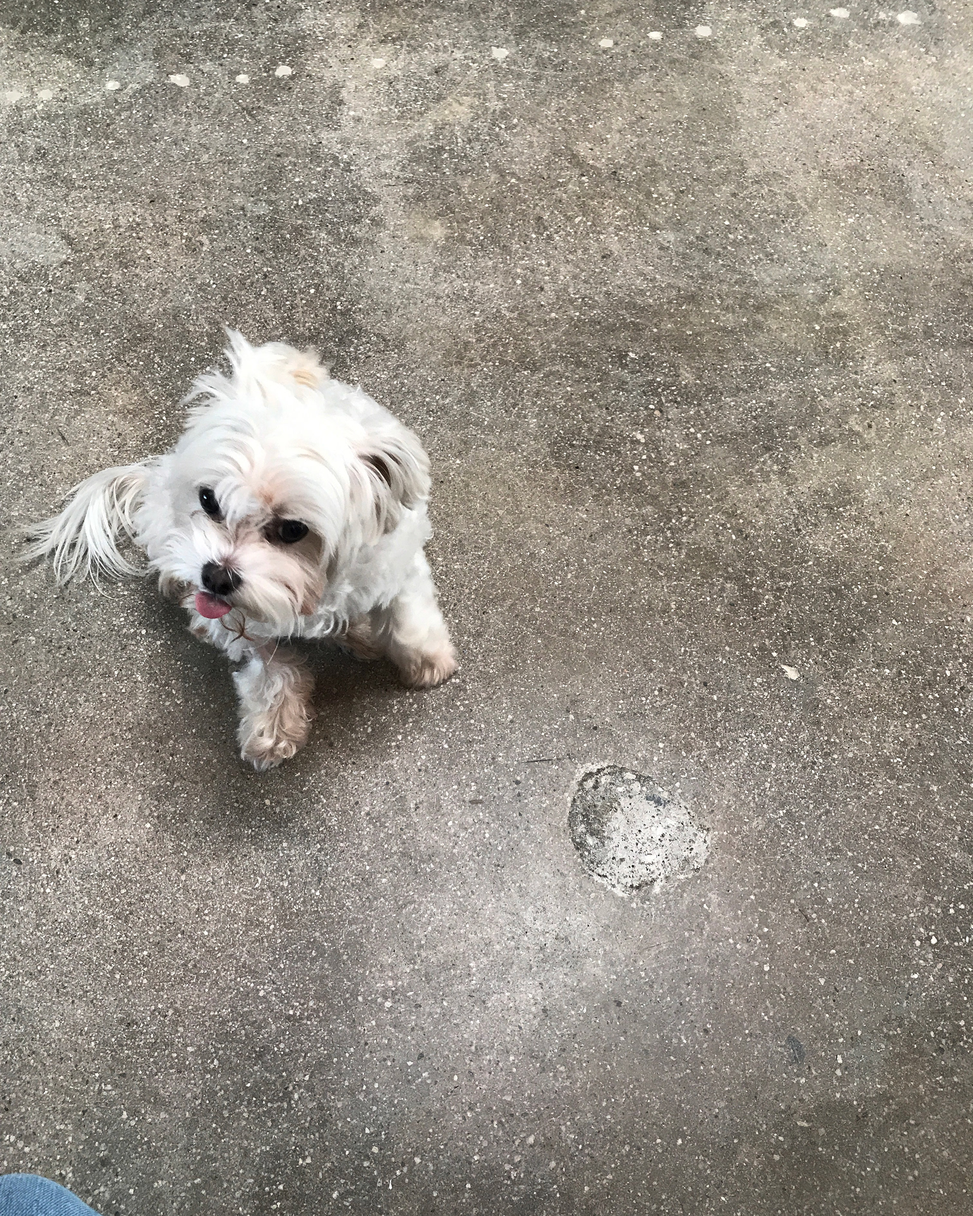 This is my favorite image of Luna. I caught her in all her spunkiness