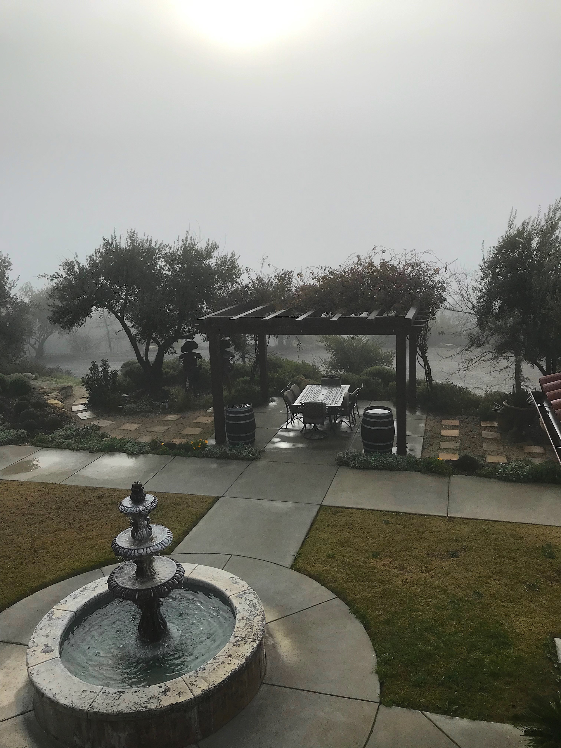 Paso Robles, CA on a very foggy morning