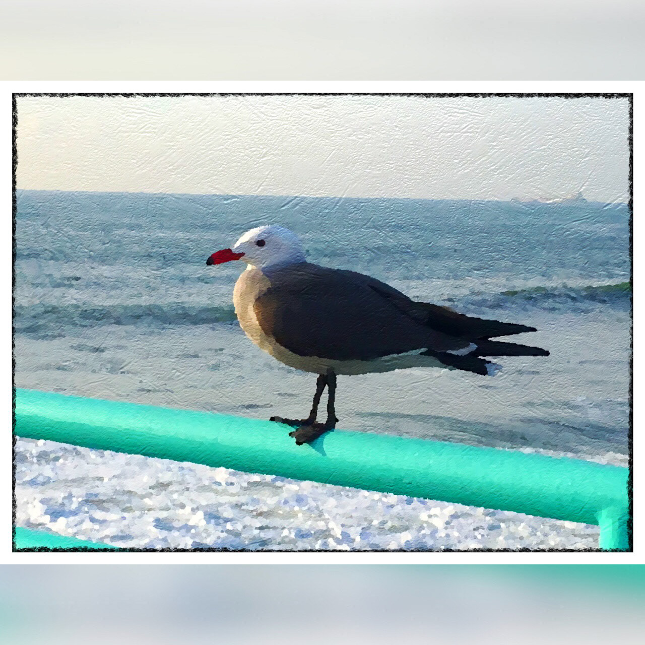 Another seagull striking a pose and making it artistic