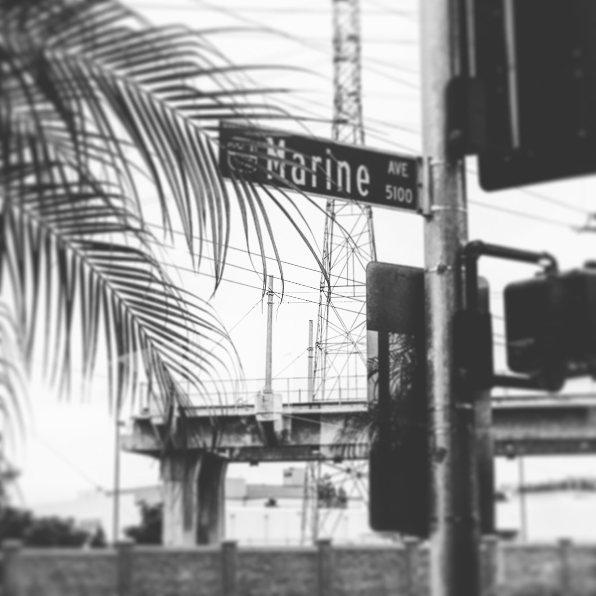 Marine Ave through the window of Tomboy's in Lawndale, CA