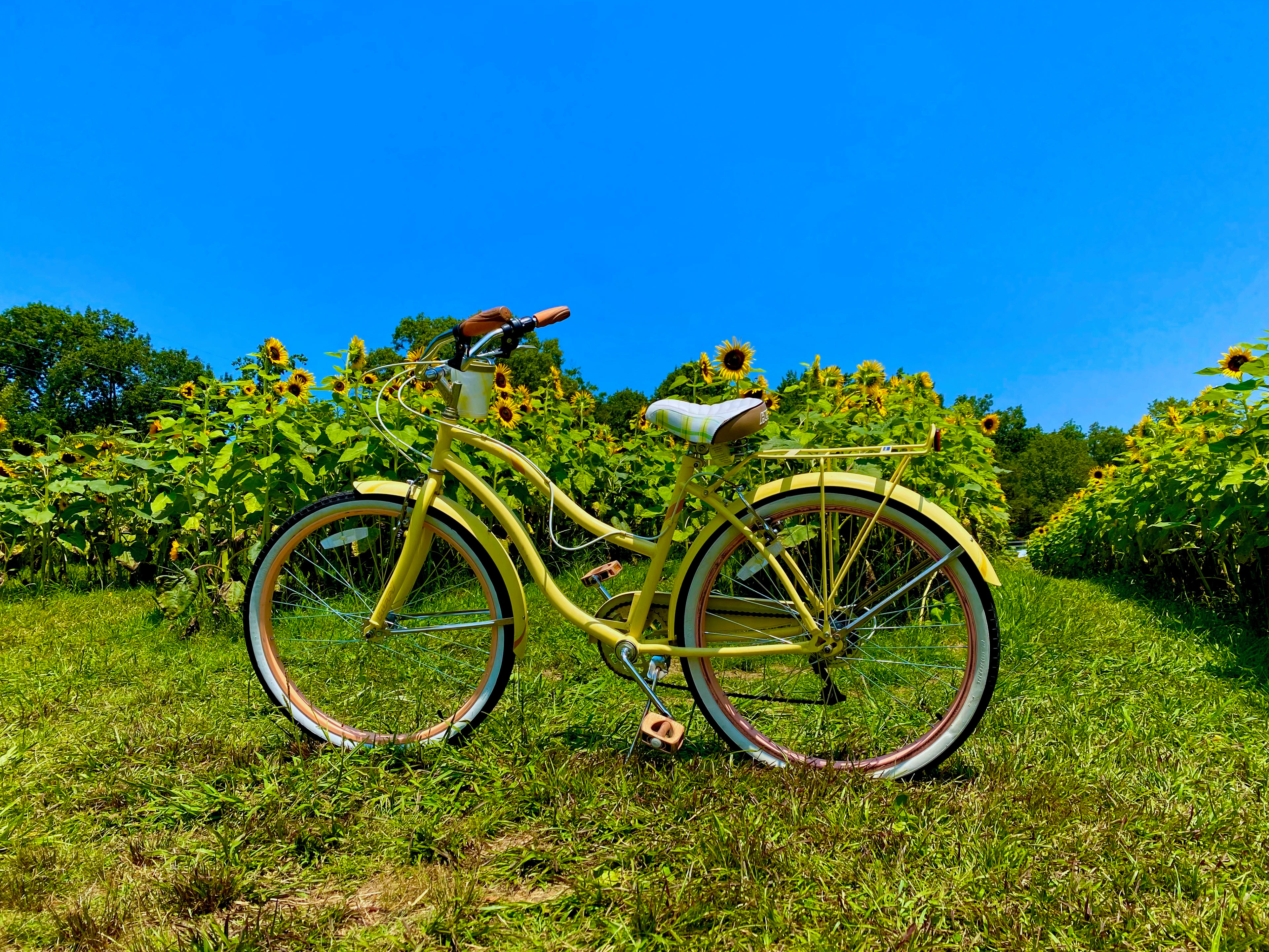 Another cute beach cruiser