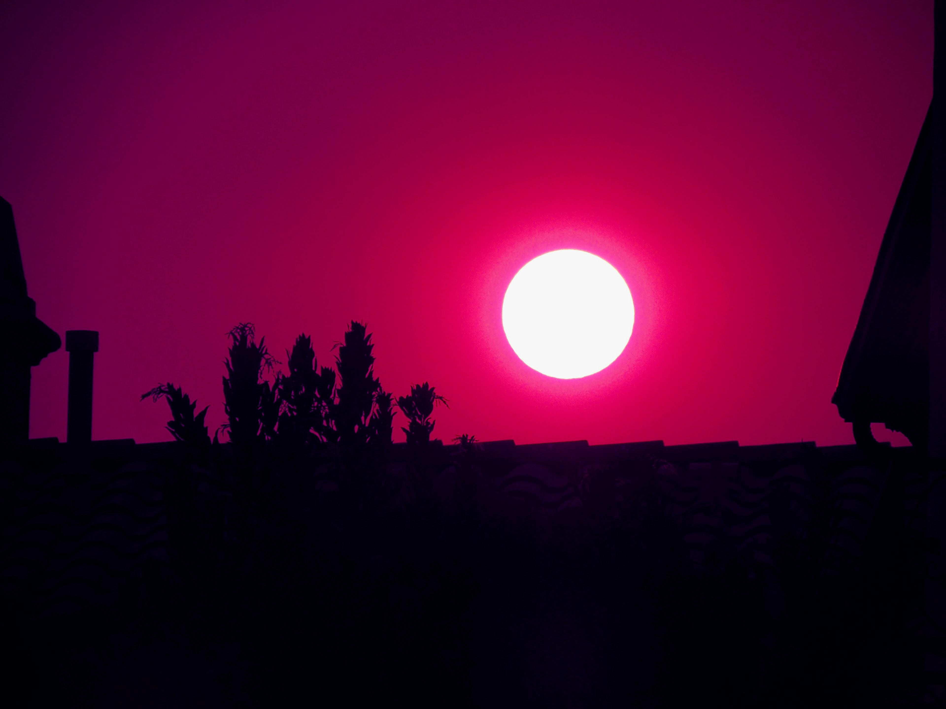 This was a special capture. No edits: the sun appeared this way due to nearby wildfires