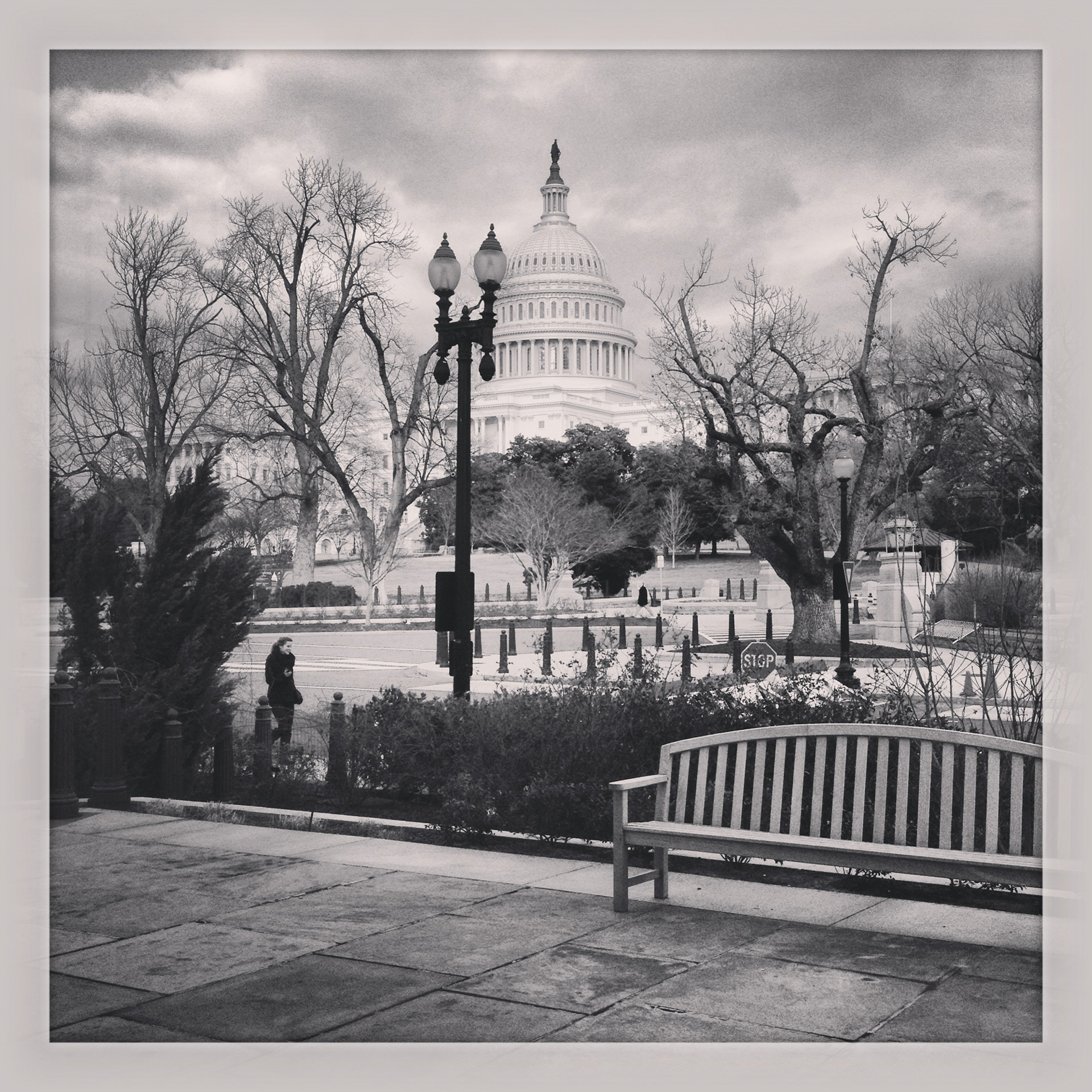 The White House as seen through the arboretum