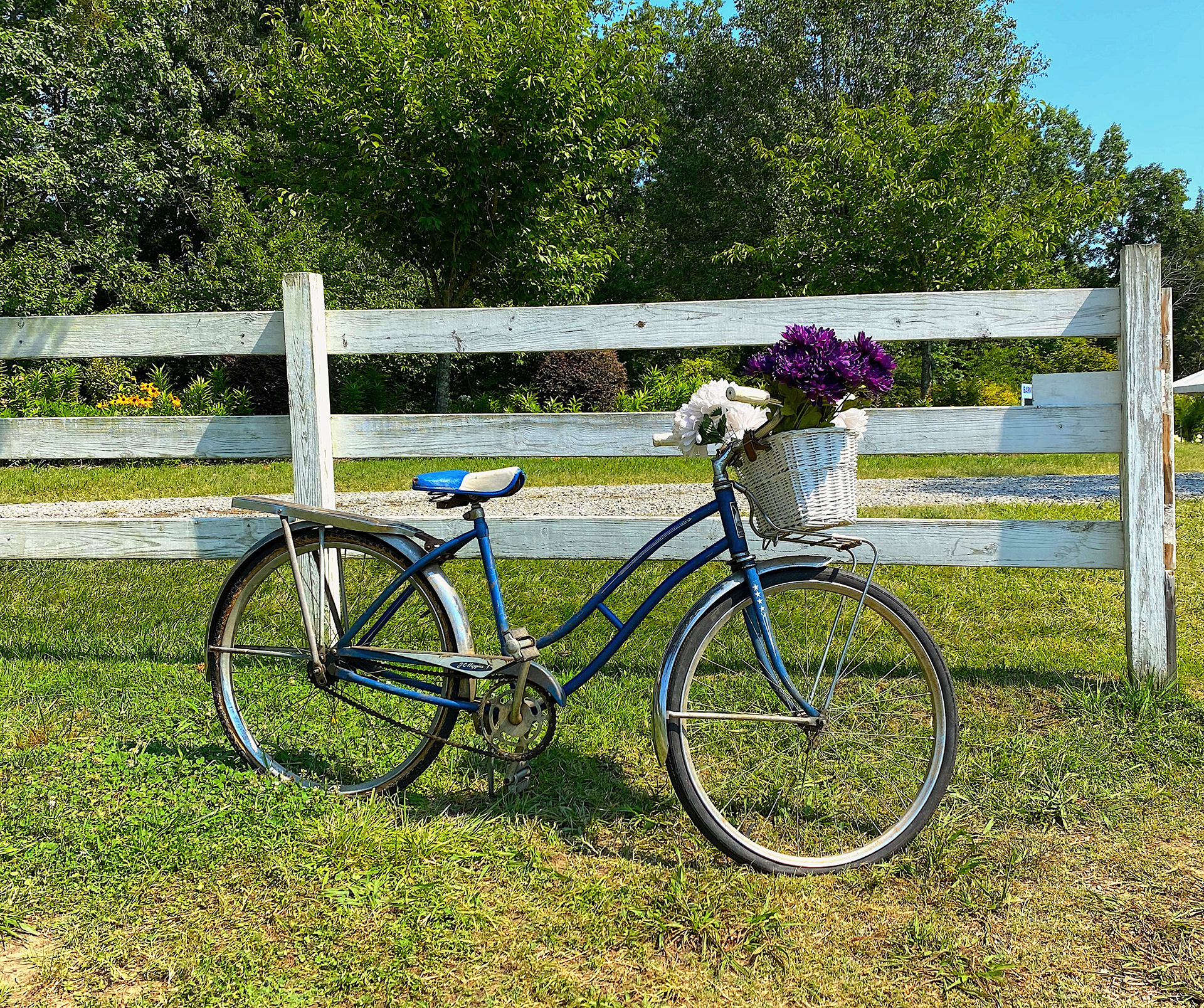 I love a cute beach cruiser