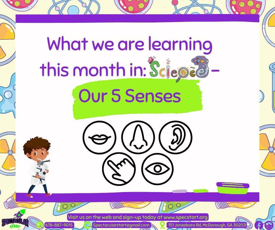 Our 5 senses