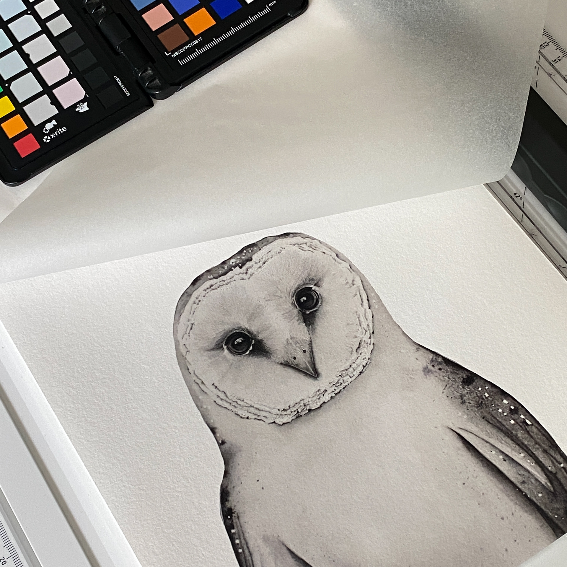 Ana Alcover | Hahnemühle Museum Etching 350g