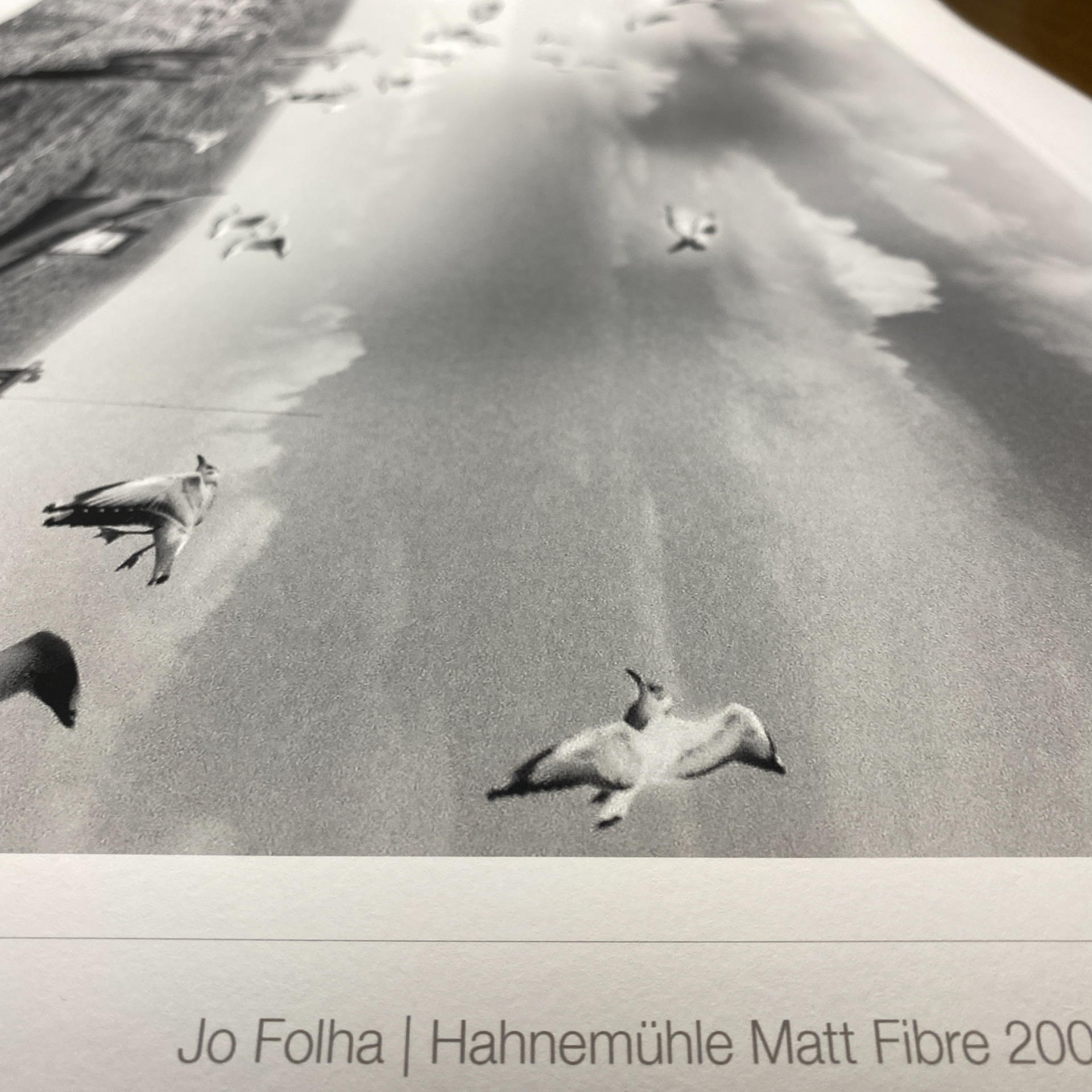 Jô Folha | Hahnemühle Matt Fibre 200g