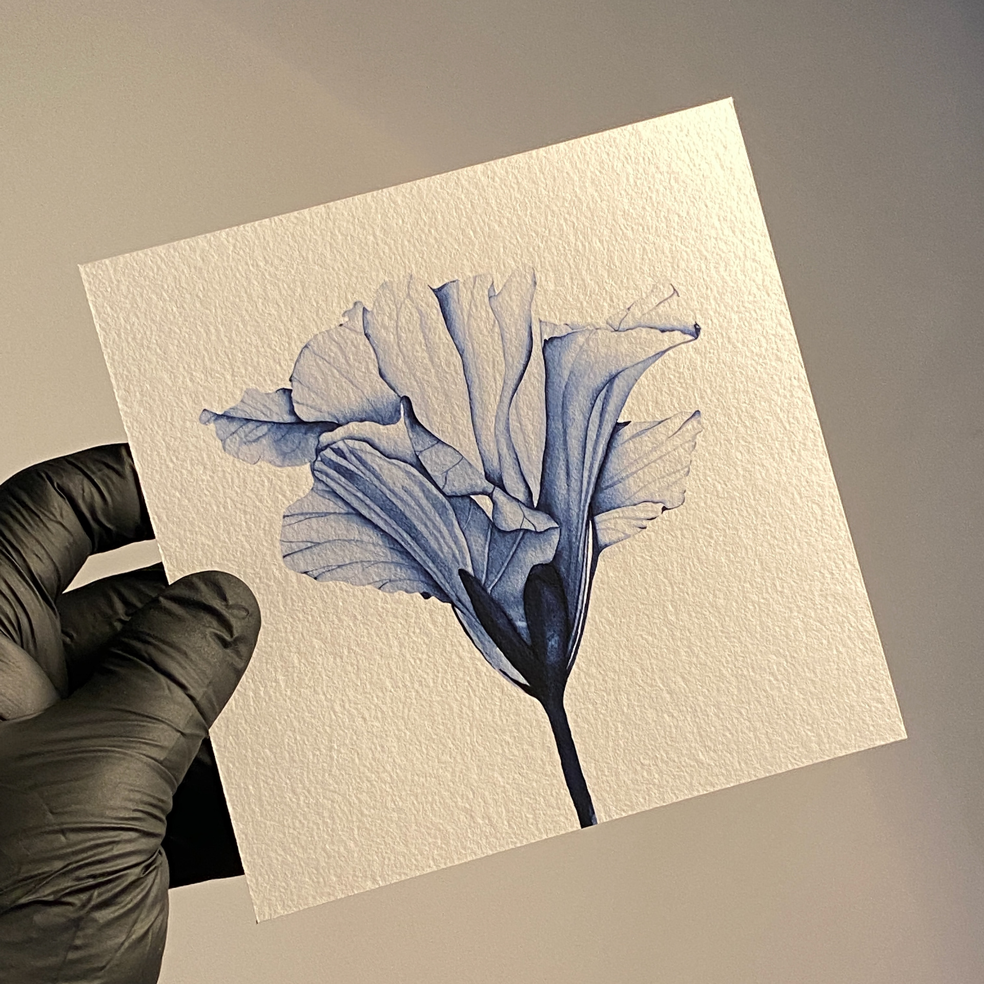 Ana Alcover | Hanhnemühle Museum Etchig 350g